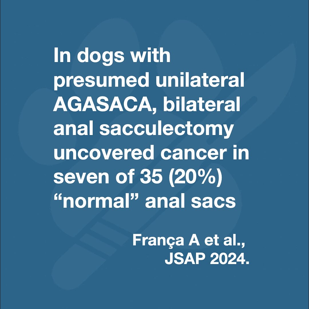 The paper quantifies how often the “normal” contralateral sac harbors pathology, including occult carcinoma, when unilateral AGASACA is presumed clinically. By pairing routine bilateral histology with complication reporting, it adds evidence that a bilateral strategy can be considered without an obvious increase in complications versus unilateral approaches, as framed by the authors.
———
Single-institution, retrospective review (2019–2023) of 35 dogs undergoing bilateral anal sacculectomy for clinically unilateral apocrine gland anal sac adenocarcinoma (AGASACA). The team recorded staging, surgery, histology of both anal sacs, and intra-/postoperative complications. On histology, only 5/35 (14%) contralateral sacs were normal; 23/35 (66%) had non-neoplastic disease; 7/35 (20%) had contralateral AGASACA that was not suspected pre-op. Reported complications attributable to primary tumour removal were 9% intraoperatively and 14% postoperatively. Authors state complication rates were comparable to unilateral sacculectomy in prior literature.
For dogs that appear unilateral on work-up, contralateral disease is common and can include occult bilateral AGASACA (20%). Performing bilateral sacculectomy yields definitive histology from both sacs and, in this cohort, had complication rates the authors consider similar to unilateral procedures. Practically, this supports discussing bilateral removal at index surgery to avoid delayed diagnosis and a second anesthetic event, while counseling owners on typical risks (e.g., tumour capsule disruption intra-op; surgical site infection post-op).