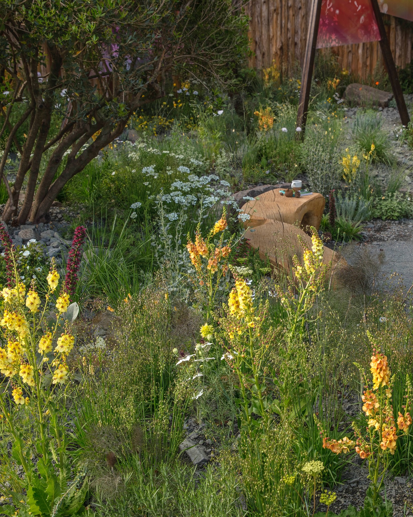 I’m truly honoured to have been nominated as a Fellow of the Society of Landscape and Garden Designers.
I didn’t grow up knowing I wanted to be a garden designer, but I’ve always loved being outside, connecting with nature, with people, and with the spaces we share. While studying English Literature at university, I worked a garden maintenance job, and as soon as I finished, I started working as a landscaper because I liked building things and being outside; my interest in plants came later. After a couple of years in construction, I returned to study, completing a postgraduate diploma and a few years later a Master’s in landscape architecture, training formally as a designer.
My entire career has been in landscape, moving between design and construction, and throughout it, I’ve always been focused on creating spaces that invite connection and are sensitive to the environment around them. Gardens are more than decoration; they’re habitats, places to connect, and spaces that can endure for years to come.
This fellowship is a real honour, and it means a lot to me to have my work recognised in this way. Thank you @the_sgld 🙏🏻😊
📸: images 1,3 & 5 @clivenichols
📸: images 2,,4 &6 my wife @natalias_space
⸻
ABOUT: Joe Perkins Design is a multi-award-winning landscape design consultancy, creating innovative outdoor spaces that celebrate the environment, wildlife, and biodiversity. Working across the UK and internationally, we partner with clients who share our passion for sustainable and visionary design. Discover more about our work at: www.joeperkinsdesign.com