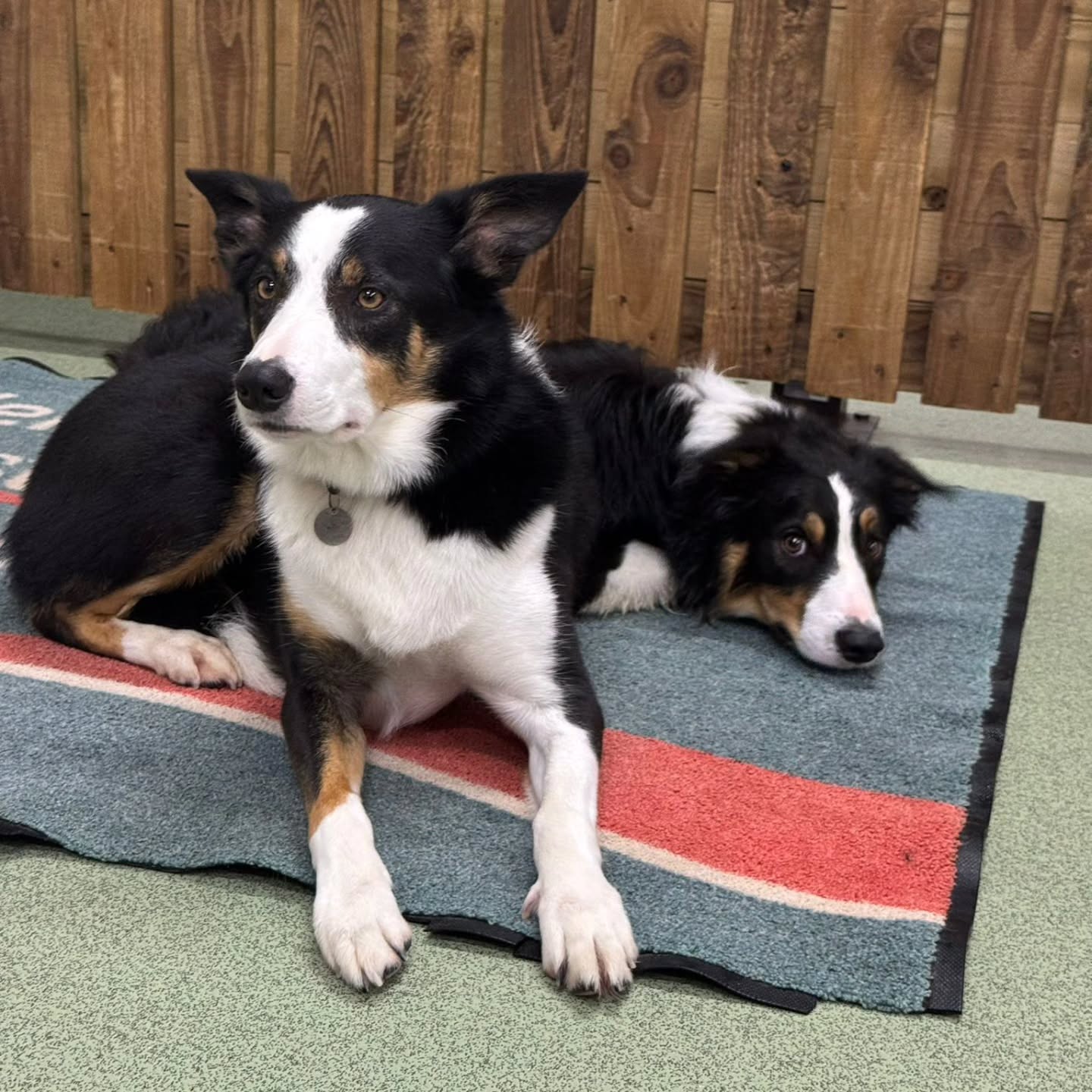 When you have a friend that looks just like you! ❤️❤️