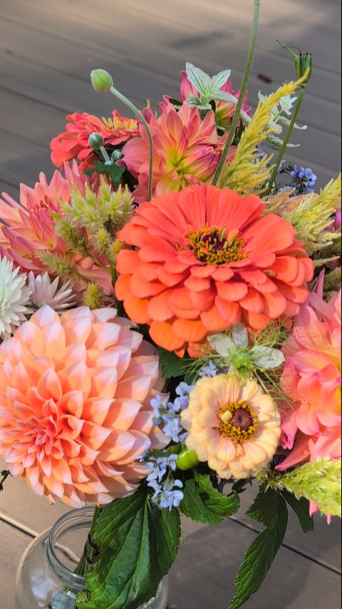 Apparently flowers can ✨glow.✨
#marketbouquet #gigharborflowers #gigharborflorist #flowerstand #gigharbormoms #uptowngigharbor #foxislandwa