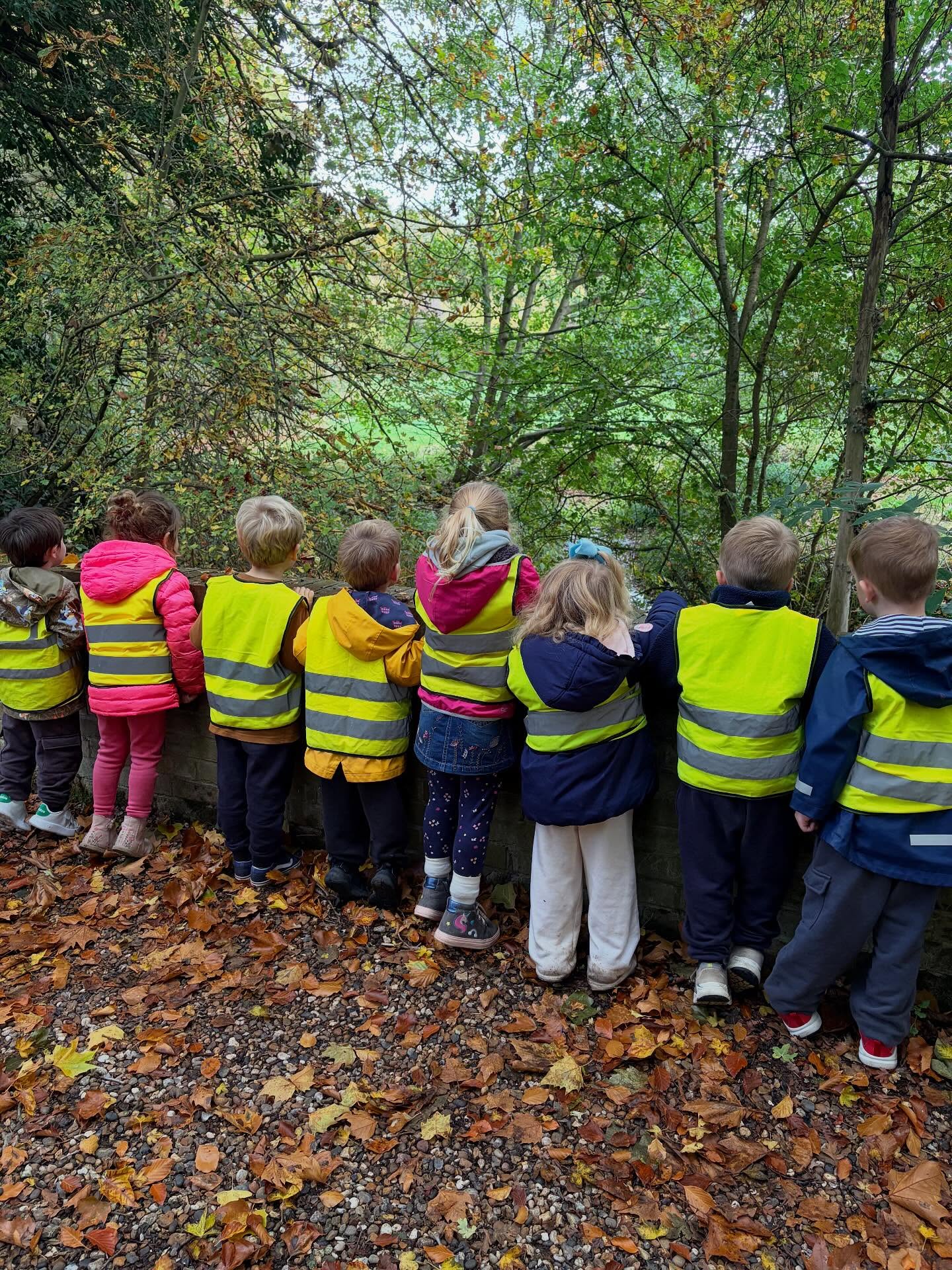 Our autumnal walk this afternoon 🍁🍂 we collected some lovely things and looked at everything around us 