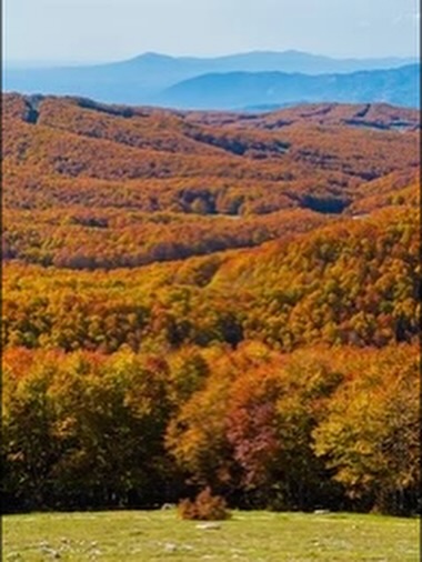 Subiaco - Part 3
In modern times, while history buffs and pilgrims still flock to the Sacro Speco and the Monastery of Saint Scholastica, the real scene-stealer isn’t an emperor or a saint.
It’s the autumn foliage.
Come October, Subiaco becomes a living postcard. Fiery reds, burnt oranges, and golden yellows sweep across the valley like a Renaissance painting that’s had a pumpkin-spice upgrade. Instagram pilgrims descend in droves—not to walk on water, but to pose beside it. The ancient Aniene sparkles beneath the trees, the mountain air smells like woodsmoke and miracles, and suddenly even Nero’s ghost would trade his marble villa for a cabin with a good view.
Subiaco is where emperors built lakes, saints performed miracles, and monks changed history. But in the end, Mother Nature may have pulled off the greatest miracle of all: making everyone stop talking about Nero and Benedict… just long enough to say, “Wow, look at those leaves.” 🍂