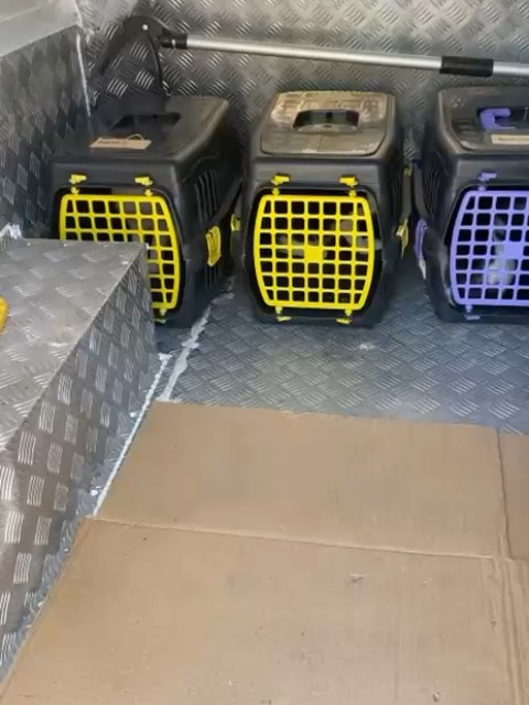 TNR SAVES LIVES 💜 🧡
We’ve been busy with one of the most important parts of our work — spaying and neutering street cats, with focus on females.
😻 We first go out to safely trap the cats
🏥 They’re taken for their spay surgeries
💊 After surgery, we keep them for a few days to provide post-op care before releasing them back to where they came from
This work is vital. Spaying and neutering is the only sustainable way to break the endless cycle of suffering. Every single spay means fewer kittens born into hardship.
If you’d like to support our ongoing spay and neuter programme, please consider donating or sponsoring a spay via the PayPal link in our bio. Every act of kindness helps us continue this life-saving work 🙏
.
.
.
.
.
#spayandneuter #tnrprogram #helpstreetcatsdogs #streetcats #catrescue #trapneuterreturn #spayitforward #tnrsaveslives #supportrescuework #donateforcats #communitycats #adoptdontshop #rescuecats #responsiblepetcare #savealife #turkishcats