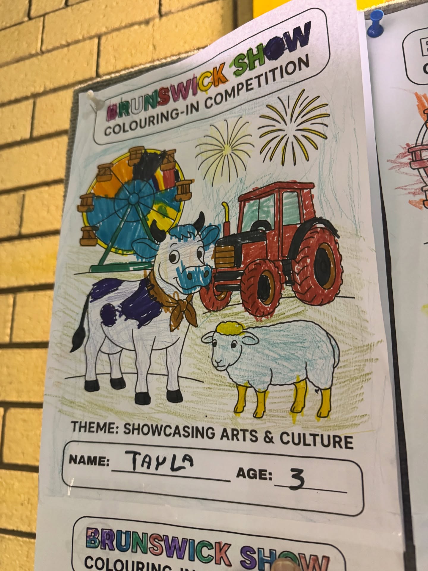 Wow! We have had a record number of entries into our colouring in competition this year, 385 to be exact!
Congratulations to our winners, Tayla, Lillian, Savi and Scarlett. All of the entries are on display inside the rec centre so take a look on show day.