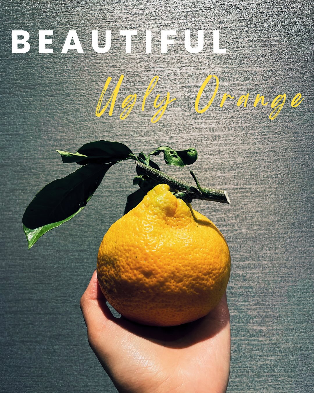 One of the most popular autumn fruits in China is this so-called “Ugly Orange” (丑橘).
Despite its name, it has the most refreshing, sweet, and delicate flavor. It makes me wonder: where did its name come from? And more importantly, why is it called ugly?
Maybe because its uneven surface resembles what we tend to label as “imperfect” (rough skin, large pores, wrinkles)? Or simply because it doesn’t look as perfectly round and smooth as a “normal” orange should?
I don’t have an answer to the origin of its name, but it did prompt me to reflect on how we define beauty and ugliness, and how quickly and carelessly we make judgments based solely on appearance.
Who decided that beauty should only be seen through the eyes, not tasted, heard, or felt?
And how much are our perceptions shaped by the language we use to describe the world?
We often say, “Don’t judge a book by its cover,” but are we really able to do that?
Can we truly stay open beyond our conditioned visual biases and start questioning the standards we’ve been taught?
I feel a bit sorry for this citrus fruit. It deserves a name that captures its sweet taste, refreshing scent, and authentic beauty in its natural state.
If you could rename it, what would you call it? 🍊
#creativity #culture #beauty #mindfulness #aesthetics #beautystandards #philosophy #wellness #empowerment #empoweringwomen #inspiration #reflection #storytelling #changemaker #names #design #artfulliving #fruits #taste #scent #wellbeing #flourishing #personalleadership