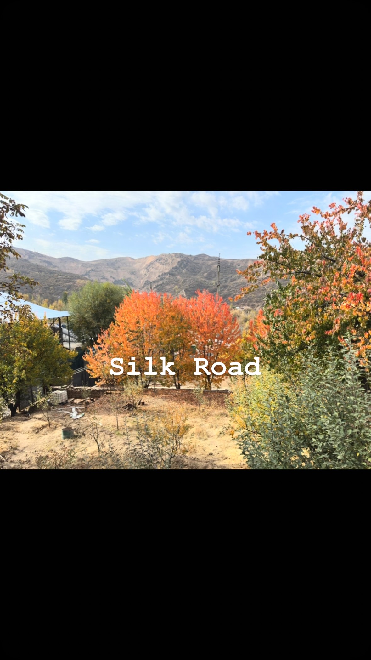 #silkroad#usbekistan#bukhara#lifestyle#orient