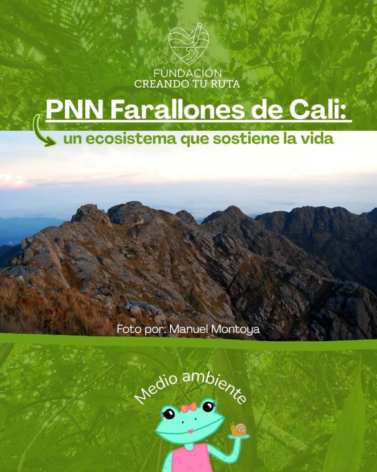 El Parque Nacional Natural Farallones de Cali es uno de los ecosistemas más diversos y estratégicos del Valle del Cauca. 🌿
Sus bosques capturan CO₂, regulan el clima y resguardan especies únicas que dependen del equilibrio de la montaña.
Desde la Fundación Creando Tu Ruta promovemos la educación ambiental y la conciencia ecológica para cuidar este patrimonio natural. 💚
👉 Pronto conocerás cómo puedes apoyar esta causa a través de nuestra Colección Esencial.
#FarallonesDeCali #Conservación #ColecciónEsencial #EducaciónAmbiental #FundaciónCreandoTuRuta #RegalaConPropósito