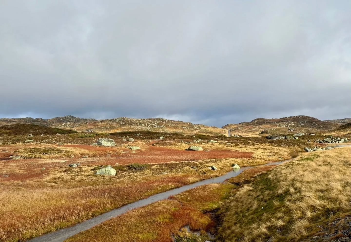 📷 Éva Beatrix Bora @borka.i.norge