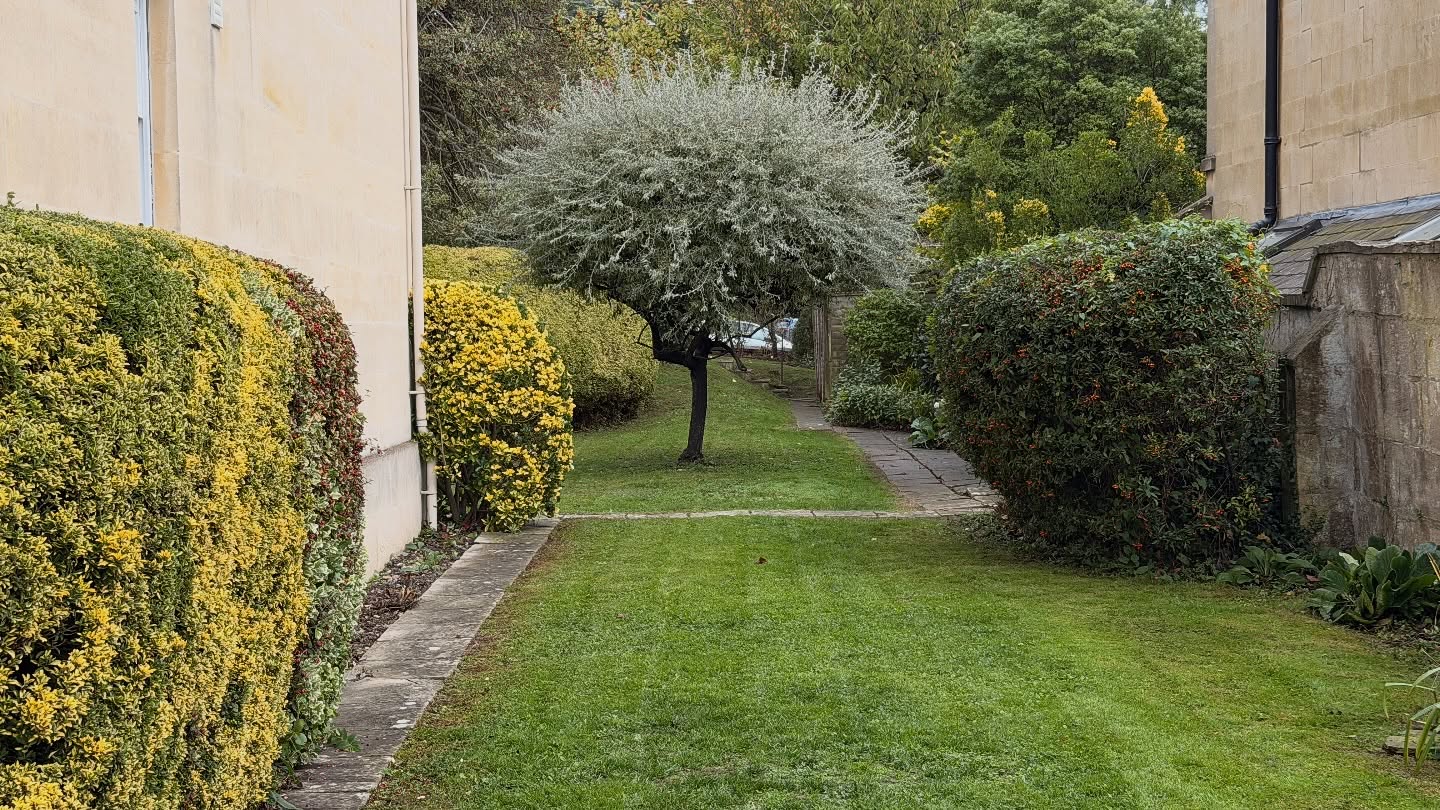 Keeping on top of our garden maintenance contracts! 💪
This one included a high grass cut, cutting back shrubs, and a good leaf clear-up to finish 🍂✂️
It was a wet one, but a bit of rain never stops us 🌧️ — the team powered through and got everything looking neat, tidy, and ready for the next visit!
Love seeing the difference a few hours of hard work can make 👀✨
Nothing better than keeping our regular sites looking sharp all year round! 🌱
#GardenMaintenance #GroundsCare #LawnCutting #ShrubPruning #LeafClearing #RegularMaintenance #LandscapingLife #BeforeAndAfter #RainOrShine #TeamWork #OutdoorWork #GroundsMaintenance #GardenTransformation #CleanAndTidy #HardWorkPaysOff #ProfessionalLandscaping