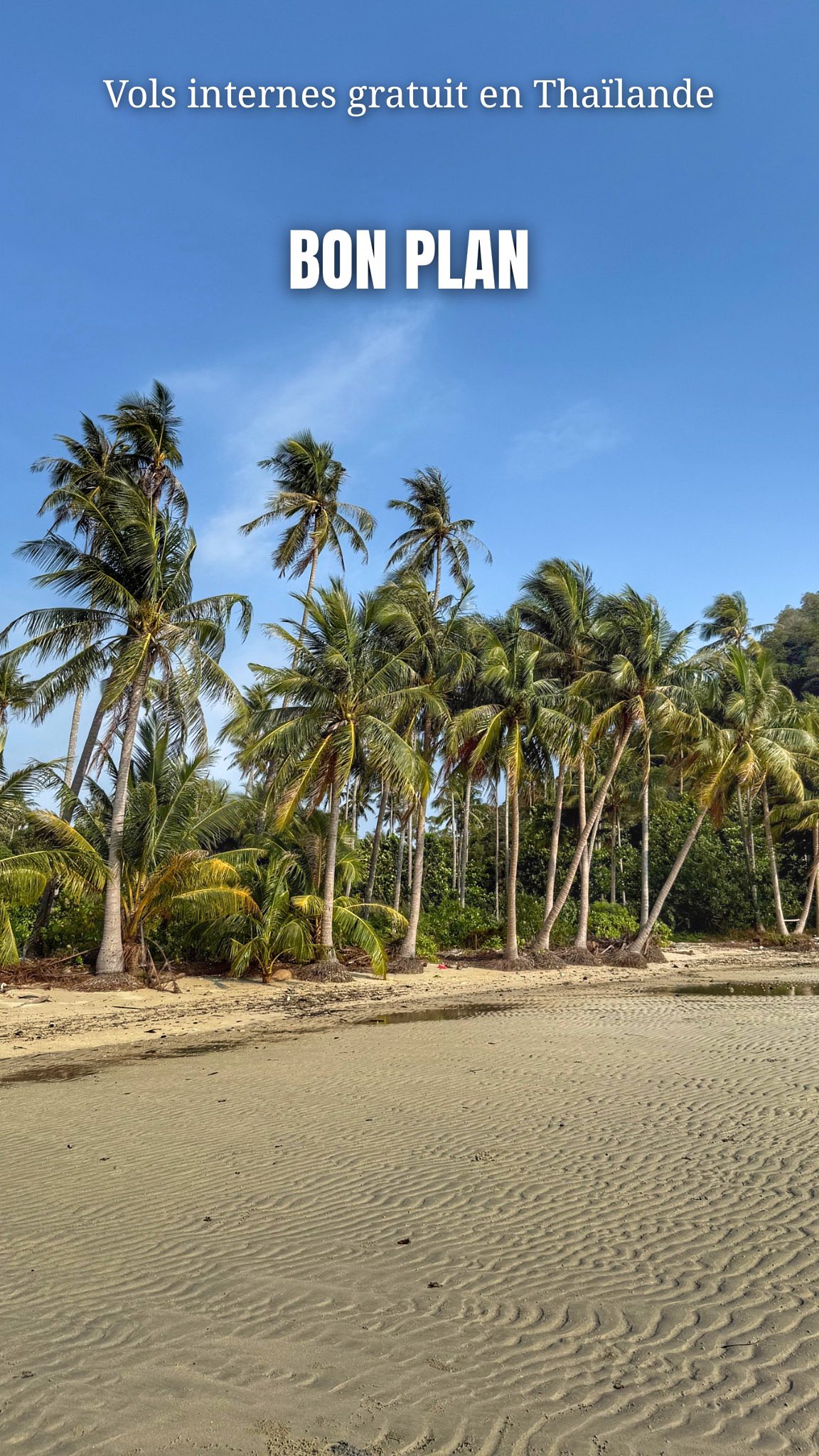 Le vendredi c’est les bons plans et astuces voyage de @pretadecoller ✨
✈️🇹🇭 VOL GRATUIT EN THAÏLANDE ?! Oui oui t’as bien lu 😱
La Thaïlande vient de lancer un programme de folie :
🪄 « Buy International, Free Thailand Domestic Flights » en gros, si tu prends un vol international pour venir en Thaïlande… ton vol intérieur est offert 🎁
👉 Jusqu’à 200 000 billets gratuits pour explorer le pays 🇹🇭
👉 Valable sur ces compagnies :
Thai Airways, Bangkok Airways, AirAsia, Nok Air, Thai Lion Air et Thai VietJet 💥
👉 Valeur jusqu’à 3 500 bahts (≈ 80 €) et quand on connaît les prix des vols interne en Thaïlande c’est parfait !
Le but ? Que les touristes ne s’arrêtent pas qu’à Bangkok ou Phuket 🌴
Mais découvrent aussi le vrai visage du pays : Chiang Mai, Chiang Rai, Krabi, Koh Lanta, Pai, Koh Chang, Koh Kood ou des encore moins connus 🌺
💡 Pour en profiter : il faut être un voyageur étranger, arriver par avion international et réserver pendant la période de l’offre (sept-nov 2025)
Alors… tu voles où gratuitement ? 😏
Commente la destination que tu choisirais 👇
#Thailande #thaïland #travel #voyage #pretadecoller #FreeFlight #TravelNews #VoyageThaïlande #TravelAddict #BonPlanVoyage