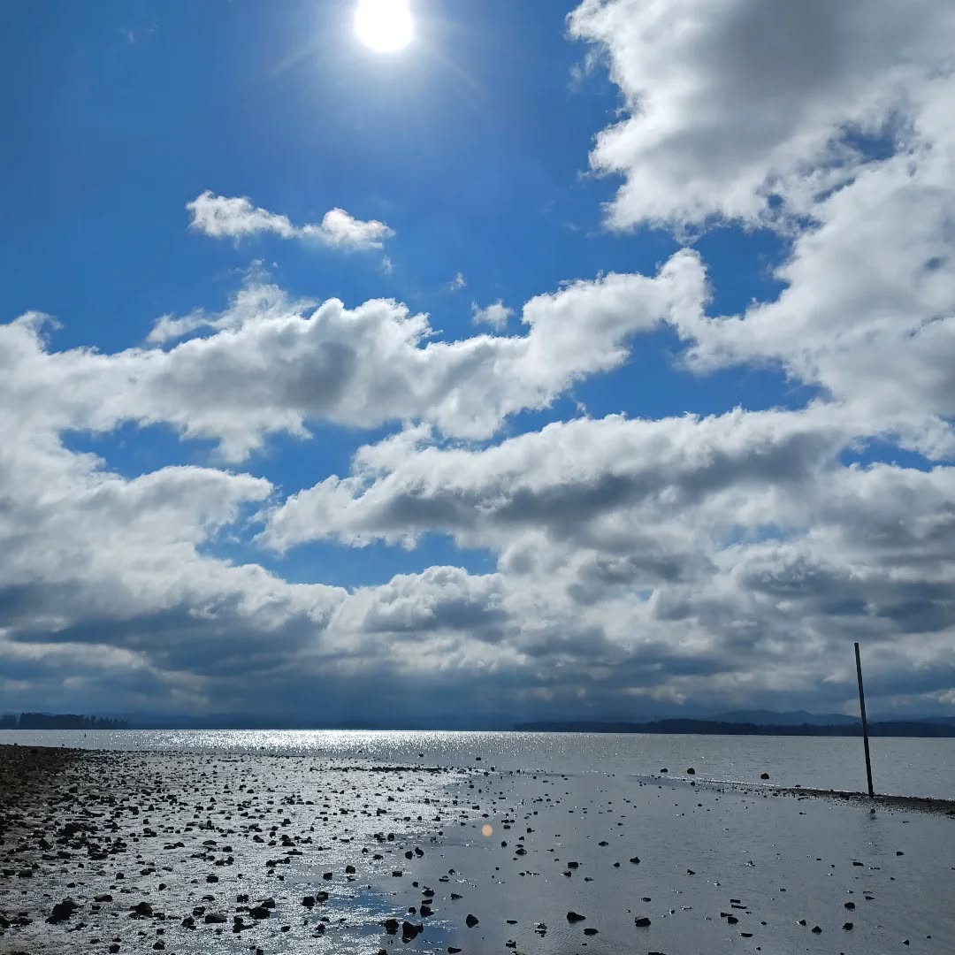 I'm feeling the pull of changing tides and seasons this year, the fluidity of life. Change is everywhere right now so instead of grasping onto things already lost I'm searching for the silver linings, those places of promise and calmer things to come.