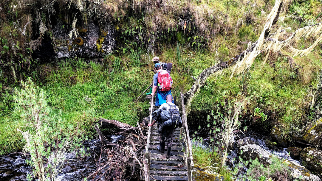 Have you ever wanted to immerse yourself in nature's beauty? 🌄 Discover the breathtaking landscapes of Mount Elgon! Experience rich biodiversity and cultural heritage like never before. Join us on this unforgettable adventure! Link in Bio