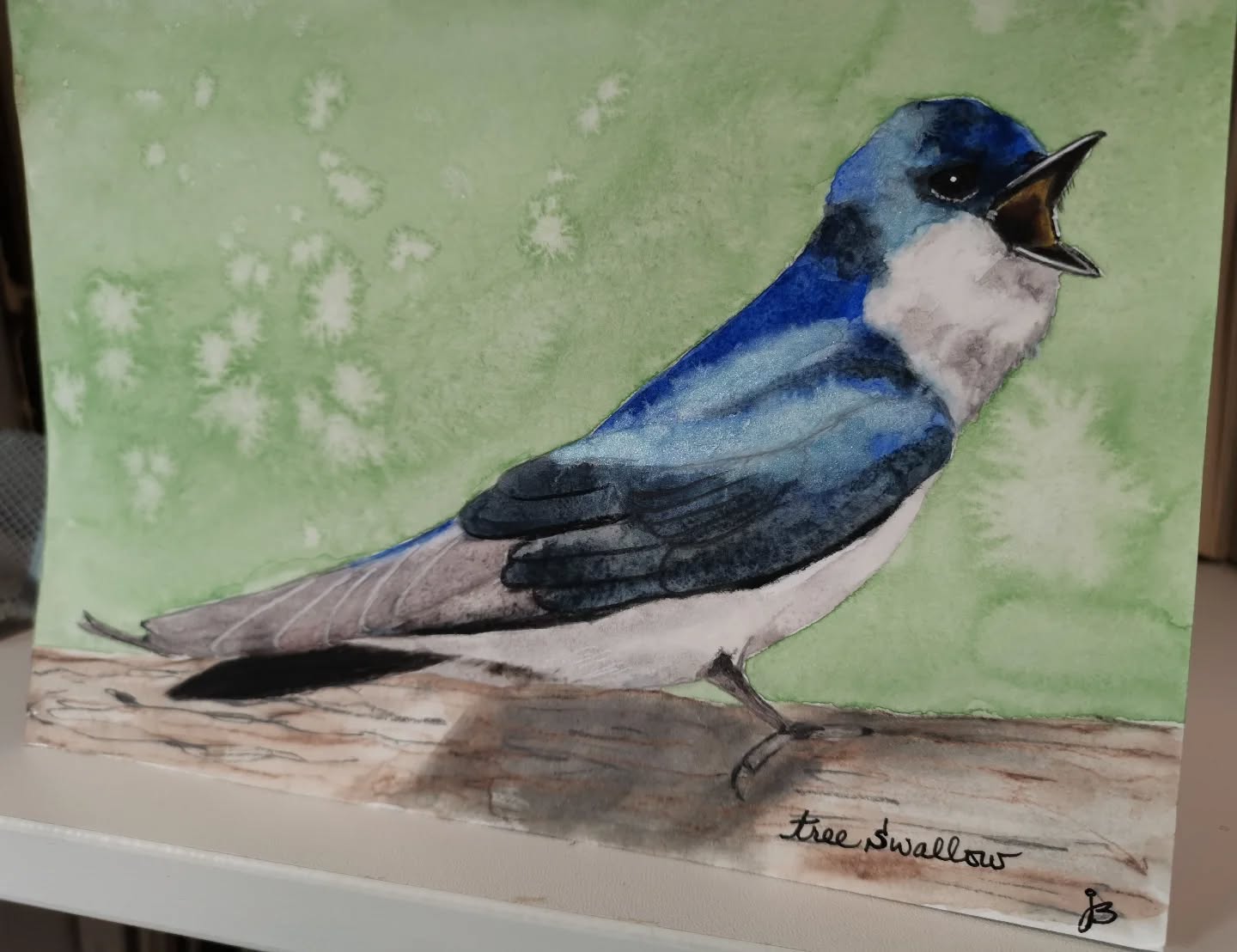 Tree swallow
Day 22 #Birdtober2025 #birdtober
This year I'm using watercolor, neocolors II, pastel and pencil crayons, charcoal, and gelly roll pens. Whatever floats my 🐦
I'm working on Clairefontaine watercolor paper 5.8x8.3" (A5) cold press paper.
@aholmesartstudio #ilovebirds #bird #birdartist #birdart #birddrawing #birdpainting #birdillustration #birdnerd #birbs #painting #drawing #illustration #birdchallenge #watercolorart #watercolorpainting #pencilsketch #fabercastell #clairefontainepaper