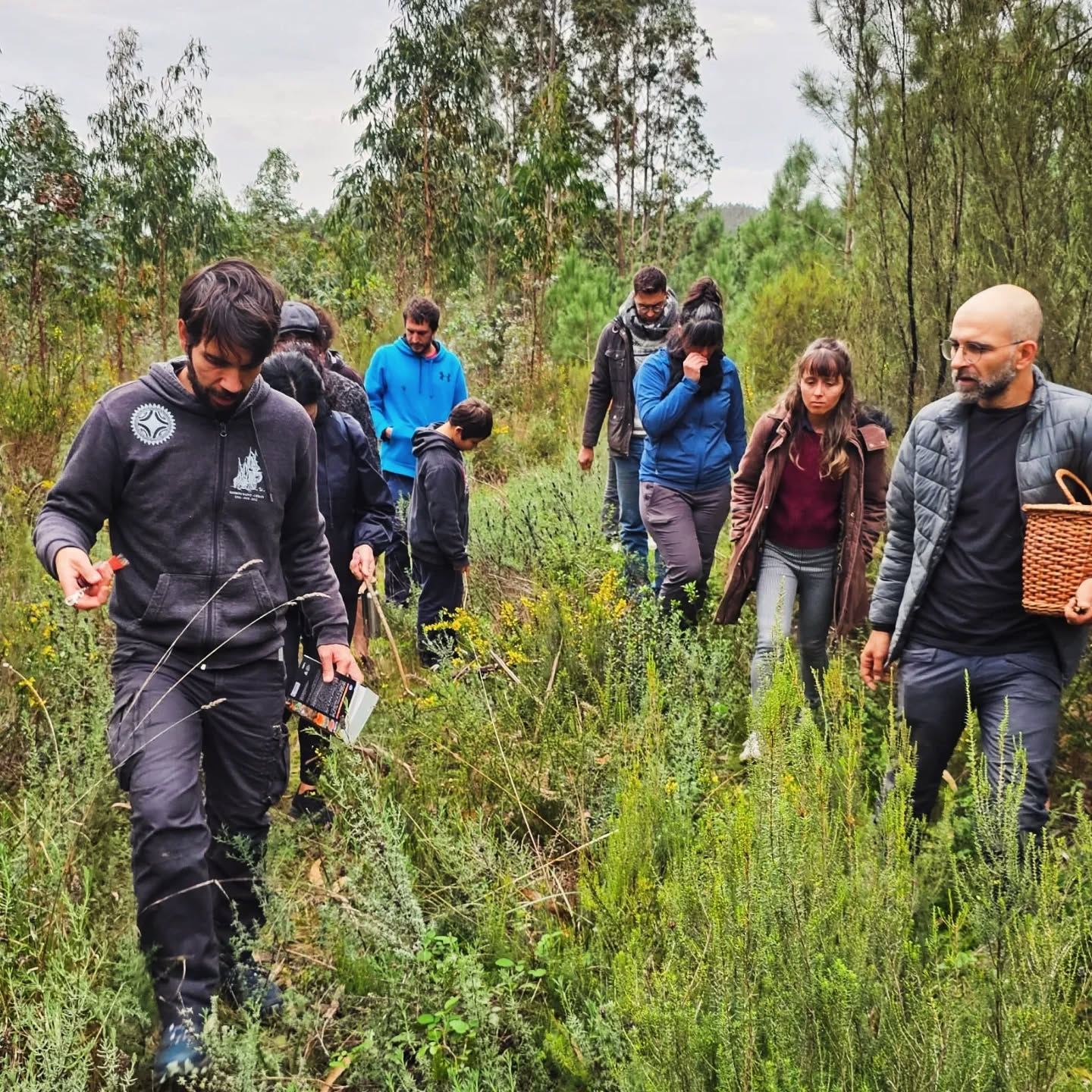 Lembras-te da caminhada do ano passado? 🍄
Explorámos a floresta, aprendemos a distinguir espécies e deixámo-nos encantar pela diversidade de formas e cores dos cogumelos escondidos entre as folhas de outono. 🍁
E este ano… vamos repetir a aventura e tu não vais querer ficar de fora!
📅 9 de novembro
🕙 10h00 – 13h00
📍 Quinta da Cavalheira, Soure
🔗 Inscrições abertas! Link na bio ou envia dm.
📸 @ashuaimran