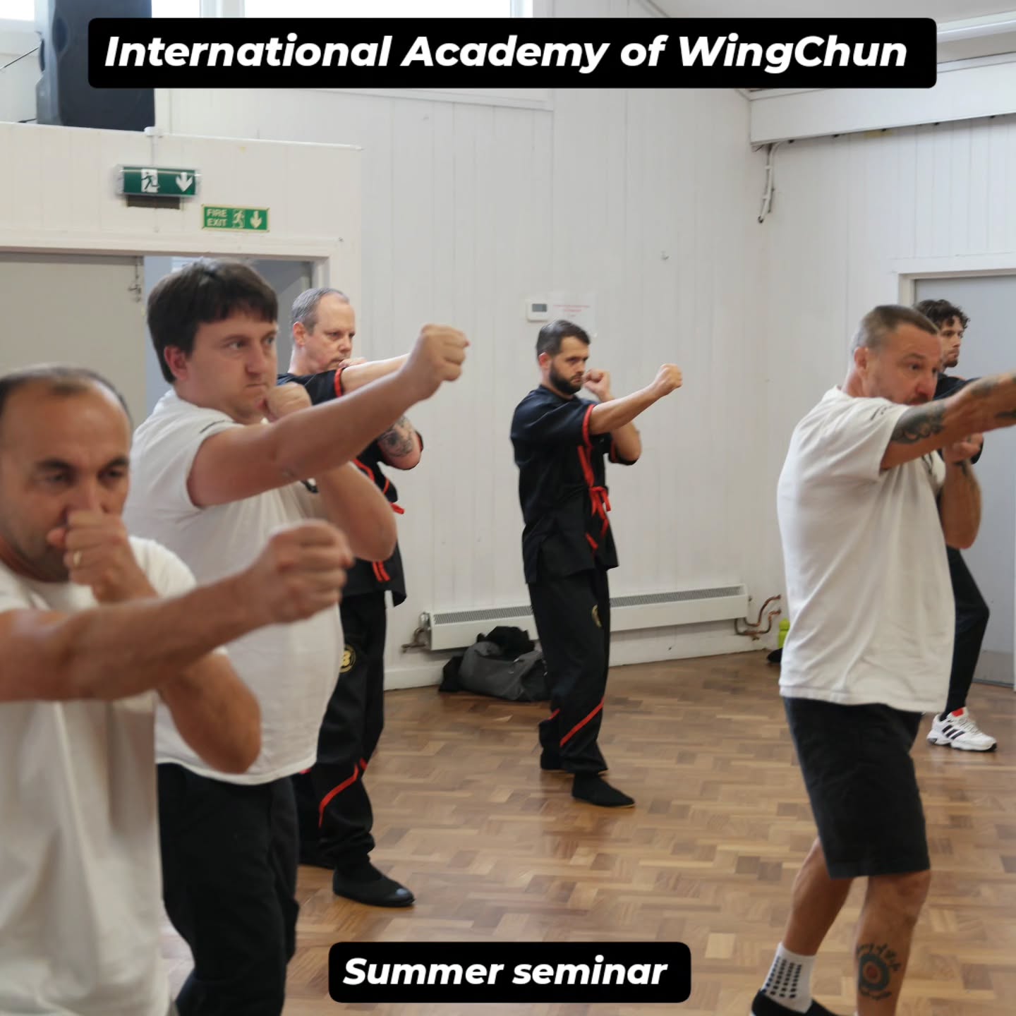 International Academy of WingChun
Summer Seminar