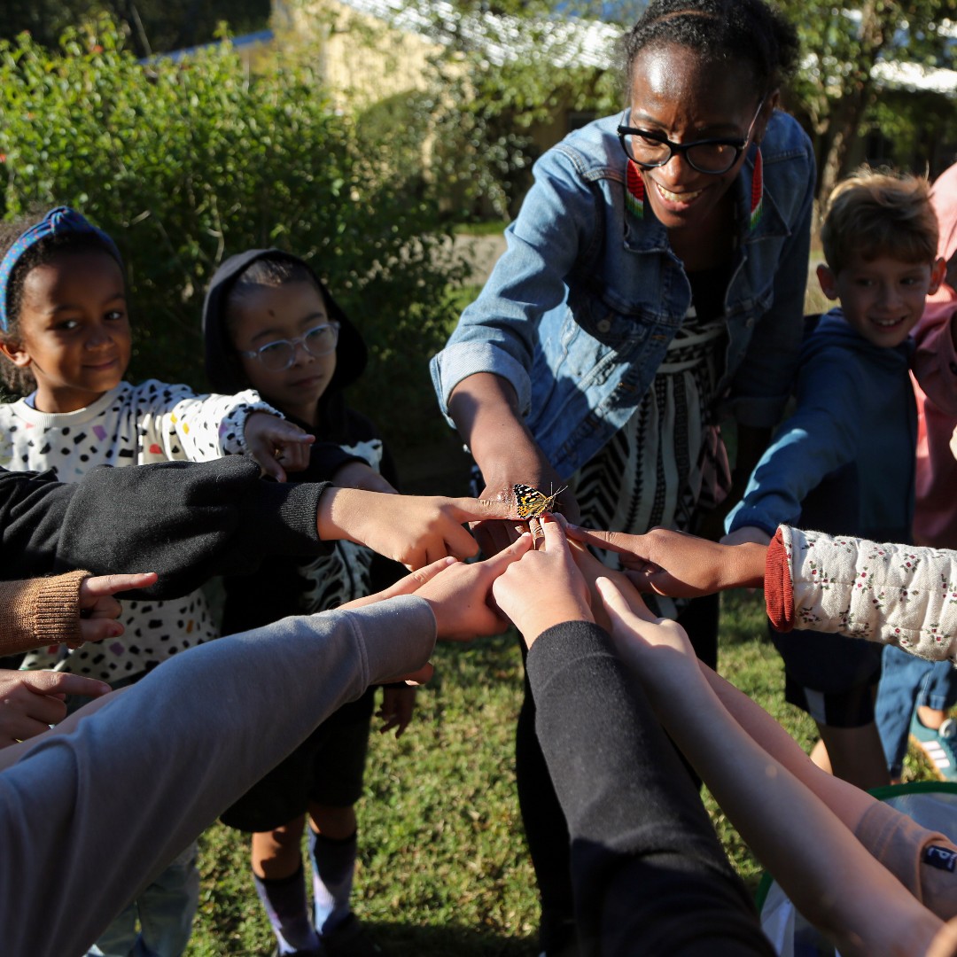 🦋 Our Second Graders have been busy diving into the Garden Helpers project 🌱 During the research phase, students explored the life cycles of butterflies—from tiny eggs to caterpillars, chrysalises, and finally, beautiful butterflies! After observing the full metamorphosis up close, they released their butterflies into the wild—an unforgettable moment that connected their learning to nature in the most magical way!
#DukeSchool #OnlyAtDukeSchool #ElementarySchool #Durham #SchoolDurham #Raleigh #ChapelHill #Apex #PrivateSchool #IndependentSchool #ProjectBasedLearning