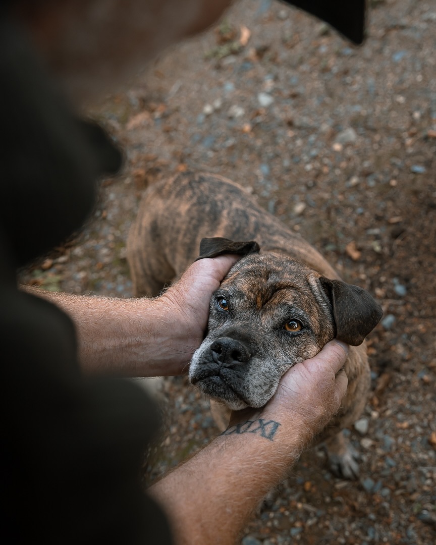 When people hear “forget-me-not session,” they often imagine something sad. But to me, it’s actually the opposite.
Back when I worked in vet clinics, I saw how love shows up in the hardest goodbyes; the shaking hands, the whispered thank-yous, the tears that say everything words can’t.
That same love is what I feel during these sessions. It’s heavy, yes, but it’s also sacred. And that’s why I do them.
#novascotiaphotographer#ns#novascotia#petphotographer#petphotography#dog#petportrait#animals#dogphotography#dogphotographer#canon#forgetmenot