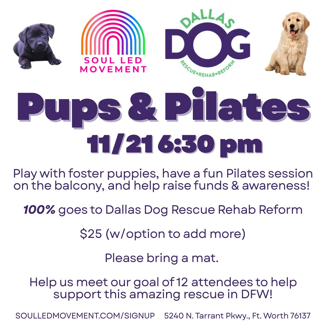 Our 1st Pups & Pilates! 🐾💜 This session is 100% donated to @dallas_dogrrr - a rescue in DFW.
I adopted my twin orange kittens from them and have fostered for the group before. This is an excellent group to foster for! They offer support all throughout. If you’re not able to foster, there are so many ways to help – including transporting, donating, spreading the word, attending events like this and so much more!
When signing up for Pups & Pilates, if you’d like to donate more to the group, upon checkout, it will give you the option to add a gratuity, so you can add on there. Every dollar goes to them and Soul Led Movement covers the transaction fees.
Rescuing takes a community! Let’s help raise awareness and offer the rescue community our support, while moving our bodies and having fun! 🐶
#pupsandpilates #ddrrr #dfw #animalrescue
