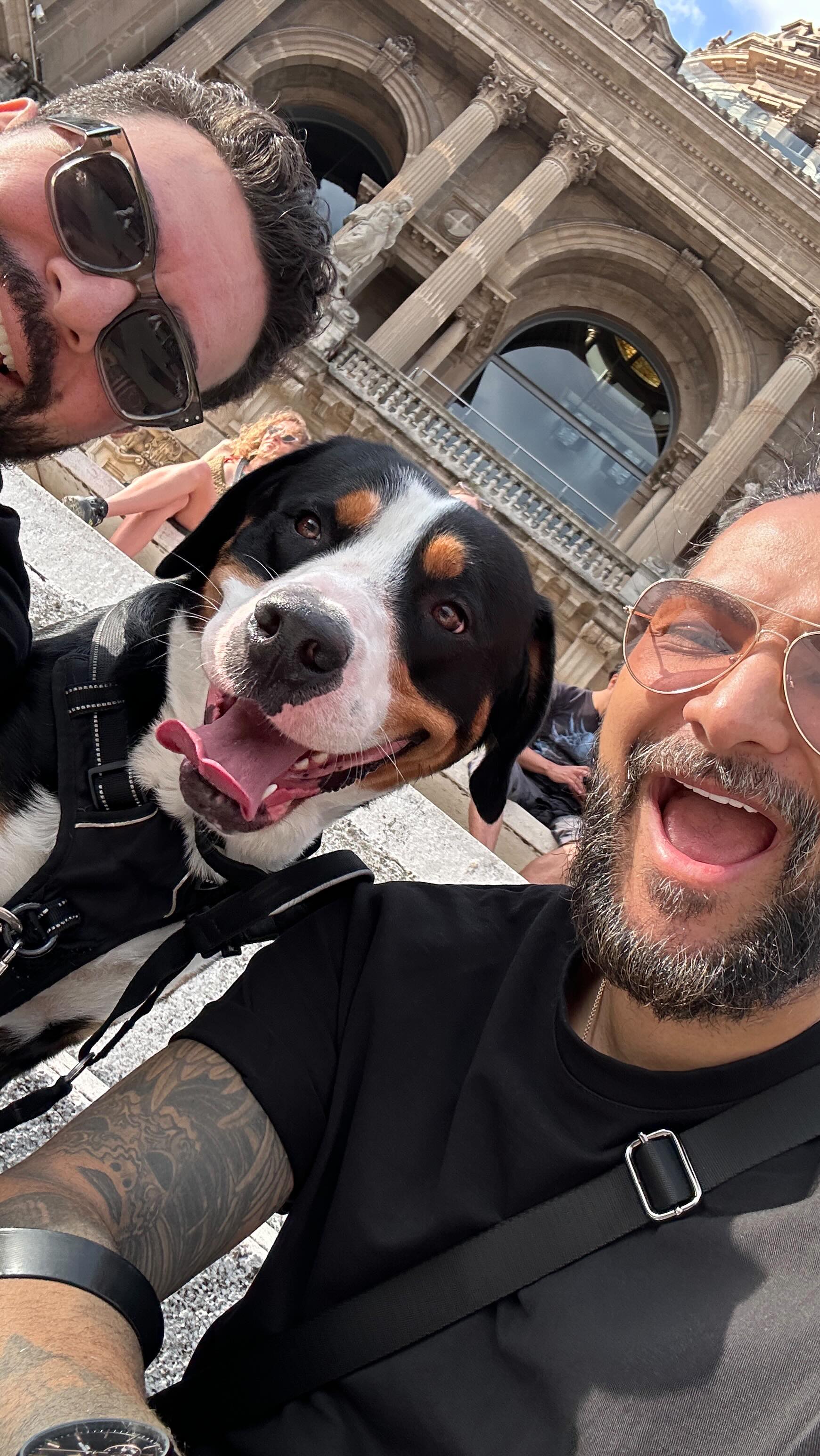 Wir sind ausgewandert. 🚙
4 Tage. 3 Länder. Auto voll. Herz voll.
Berlin → Straßburg → Montpellier → Barcelona → Mallorca.
Auf der Fähre wurde es real.
Und dieses Gefühl: Es war die richtige Entscheidung.
🏝️ Neues Land.
🏠 Neues Zuhause.
💚 Neues Leben.
Frage an dich:
Würdest du auswandern, wenn du wüsstest, dass es besser wird als alles, was du zurücklässt?
#auswandern #mallorca #neuanfang #roadtrip #couplegoals #neueskapitel #vanlifevibes #mutzurveränderung #newlife #storytime