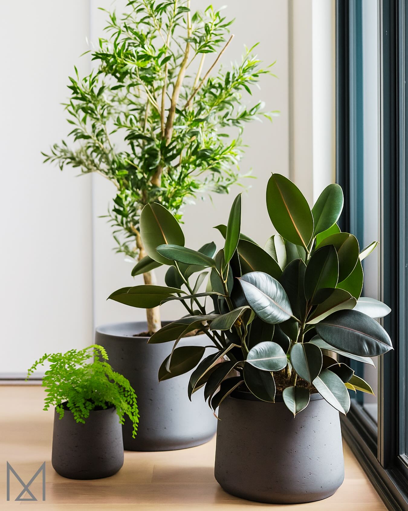 We love mixing different shapes, colours and textures when styling a collection of greenery 🌿
Here’s the twist… one of these beauties is fake! 👀
A clever mix of real and faux can be a great compromise.
Our client loves olive trees, but this spot wasn’t ideal for a real one — so we used an artificial version (with real bark!) to keep the look lush and believable.
✨ Dreaming of a home refresh? Let’s chat! ✨
Book a Complimentary Phone Consultation with me, Dani Bartholomeusz and let’s bring your vision to life. 💭🏡
📲 Link in bio to book!
🔎 Curious about our work? Check out our website and recent projects – link in bio!