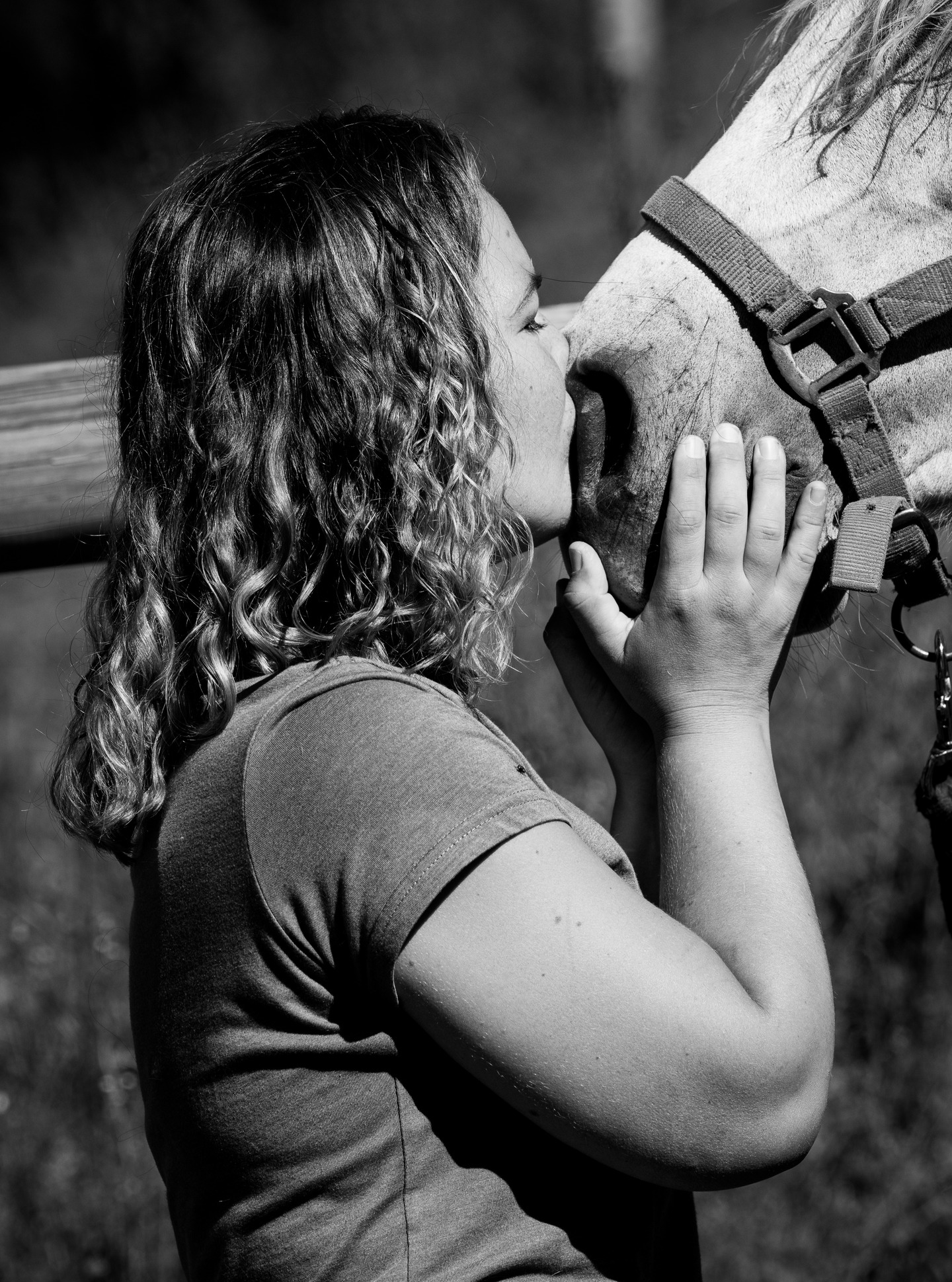 La tendresse n’a pas besoin de grand discours.
Elle se lit dans un regard, un geste, un souffle partagé.
#connectioncheval #amouranimal #photographieequine
@relaxandjump