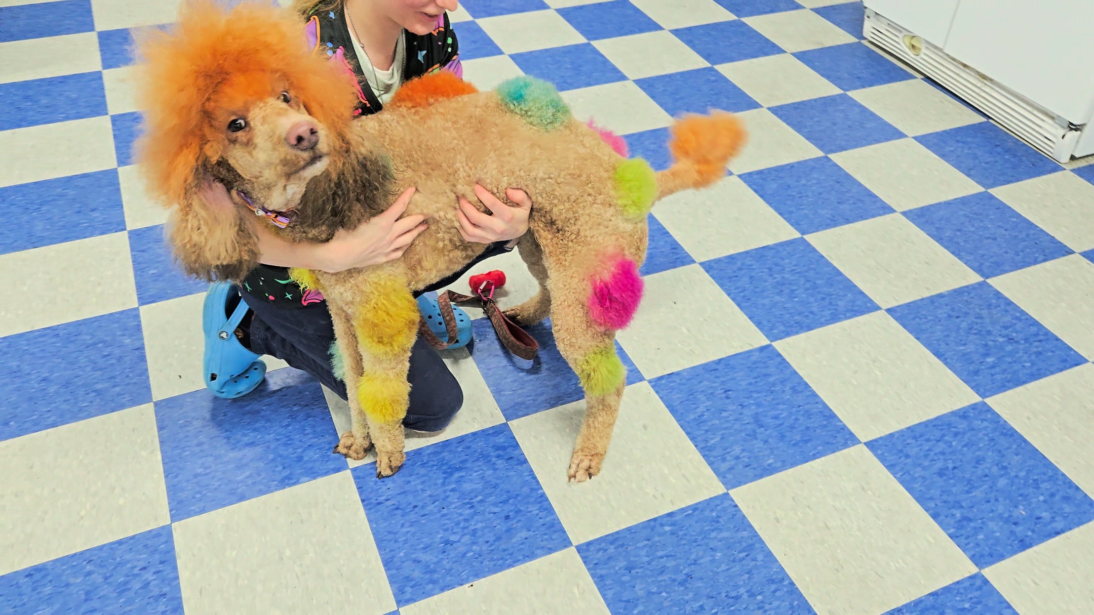 👻 Calling all ghouls and good boys! Our Halloween party kicks off next Friday at The Dog Club. Costumes encouraged, fun required.