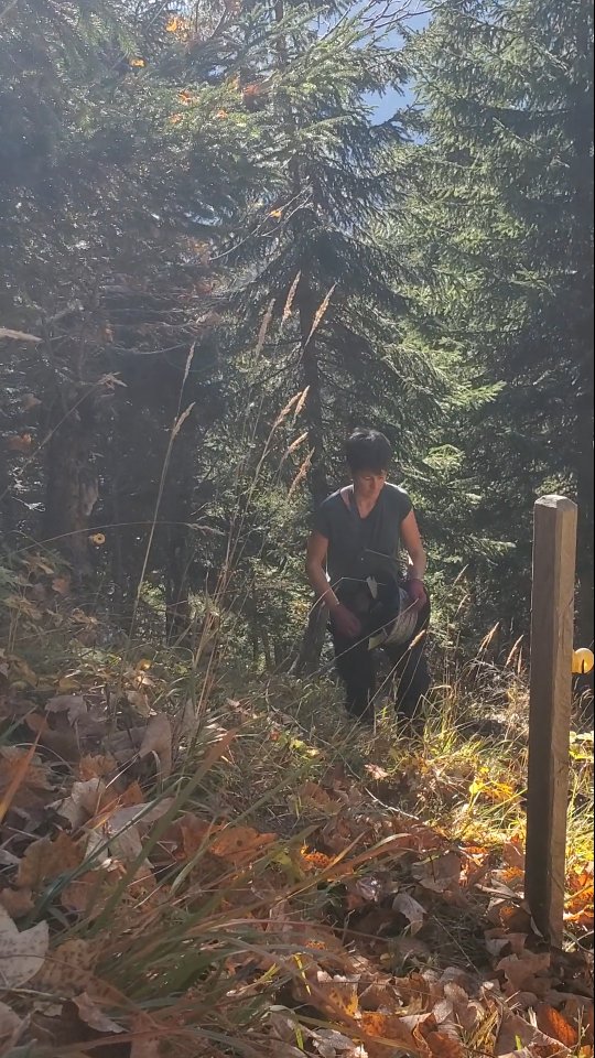 H E R B S T arbeit🍂🍁☀️
Im Herbst sind möglichst lange alle Tiere auf der Weide. Zwischen Langwies und dem Fondei sind verschiedene Gruppen von Tieren auf der Weide.
Nach der Weide ist vor dem Mist verteilen...
Dieses Mal haben wir eine Waldwiese abgezäunt und für den Winter bereit gemacht❄️🍂🍁❄️
#biohof_rofel #langwies #arosa #schanfigg #landwirtschaft #regionplessur #vombuur #bauernhofleben #buure #zäune #herbstzeit #herbst