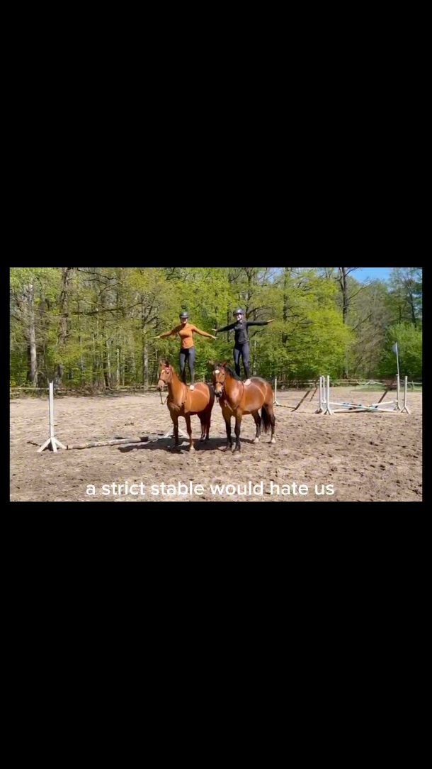 Ausbildung mit Spaßfaktor – unsere Pferde lernen fürs Leben (und fürs Lachen)! 😄🐎
#springreiten #reitturnier #reitsport #reitpferd #springpferd #horsesofinstagram #equestrianlife #pferdeliebe #jungpferdeausbildung #nachwuchspferd #futurestars #younghorses #pferdezucht #verkaufspferd #verkaufspferde #saleshorse #horsesforsale #showjumpersales #dreamteam #maresilange