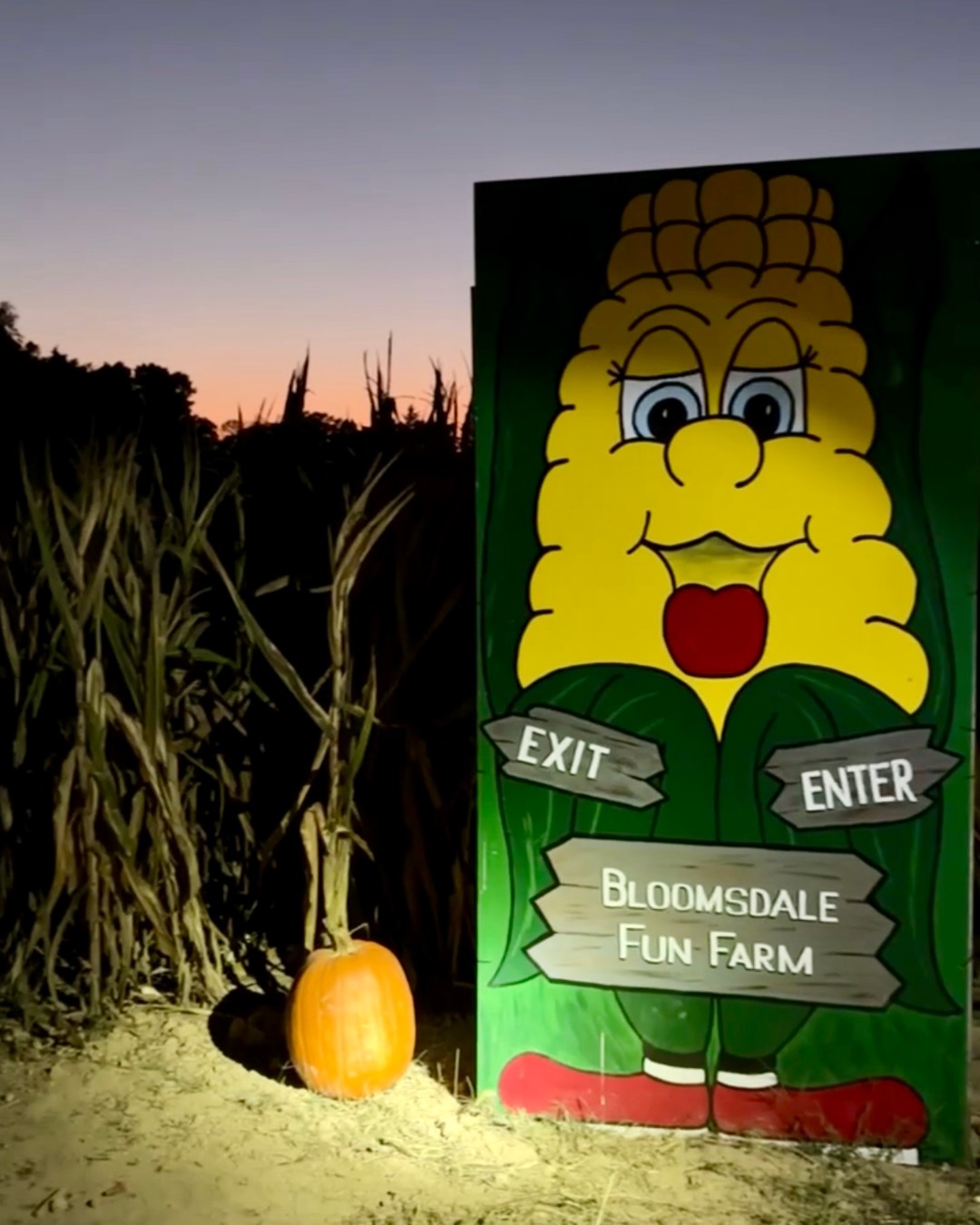 We’re ending our season with a BANG! Join us this Saturday for our special Halloween Carnival! Fun for everyone, day and night!
THIS Saturday, 10-8
🦸 Costumes encouraged
🎶 Bands lined up
🔦 Flash light maze
🎡 Amusement rides
🌟 Glow cotton candy & sticks
🍦 Specialty desserts
🎃 Pumpkin displays & patch
🍔 Festival food
🛝 AND MORE!
Season ends Sunday!
bloomsdalefunfarm.com