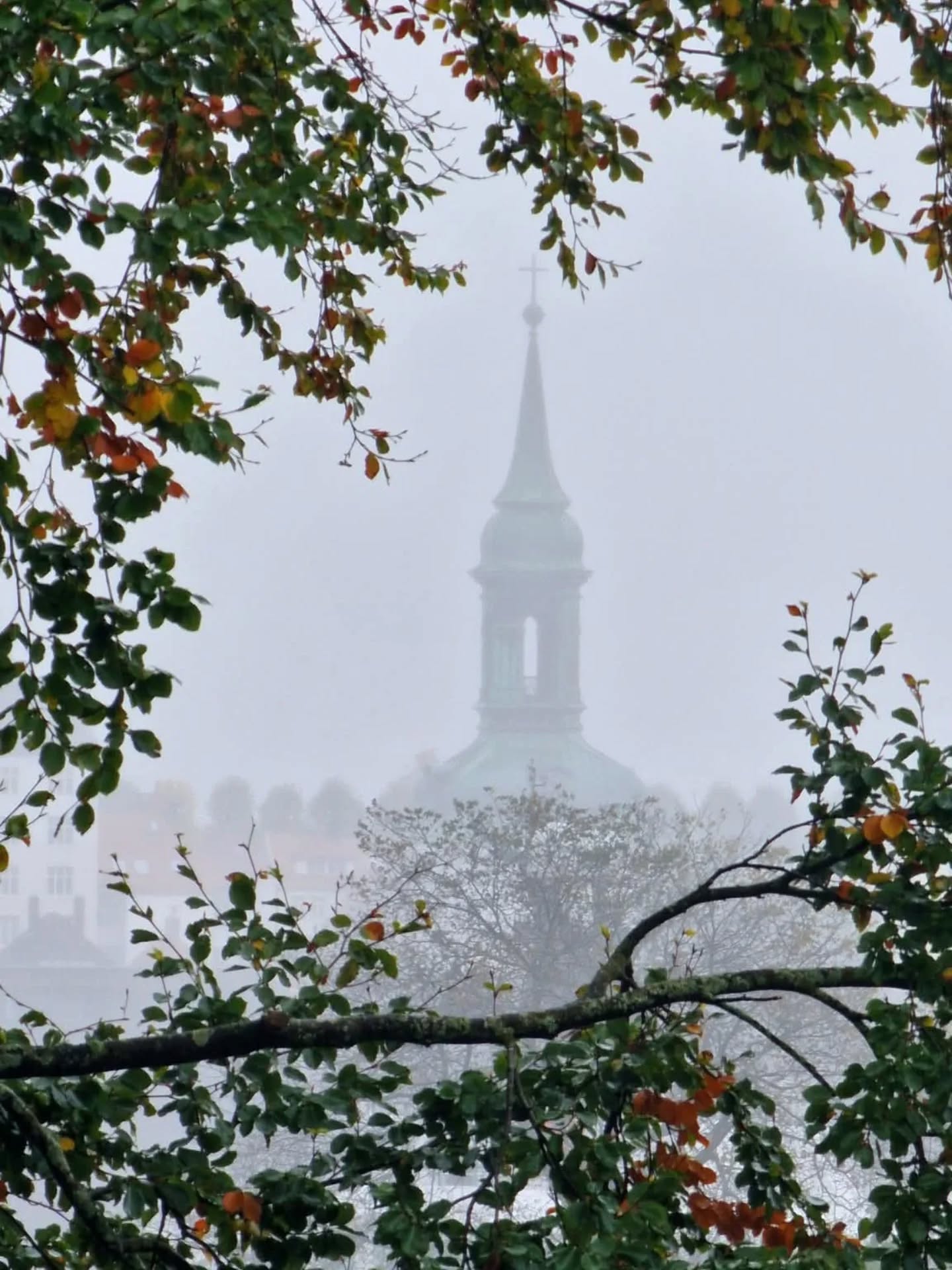 📷 Szilvia Toser @morla.no