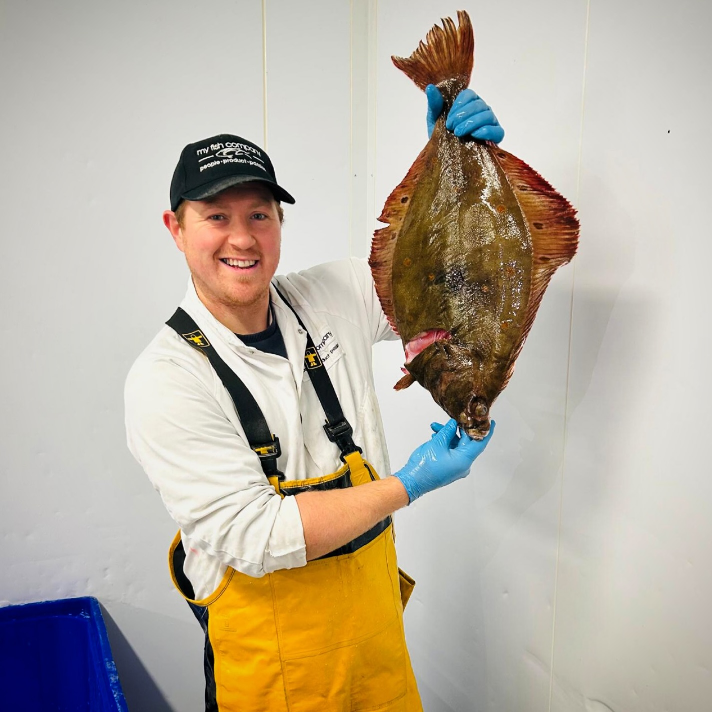 Quality you can see!
Adam is proudly presenting a magnificent 3.1kg Shetland Plaice!
When it comes to the best seafood, there’s no question where your “plaice” should be – right here with us!
But seriously, if you want to get your hands on stunning fish like this for your menu, get in touch with the My Fish Company team.
#PremiumFish #ShetlandIslands #SeafoodLover #FishOfTheDay #SupportLocal #Fishmonger
