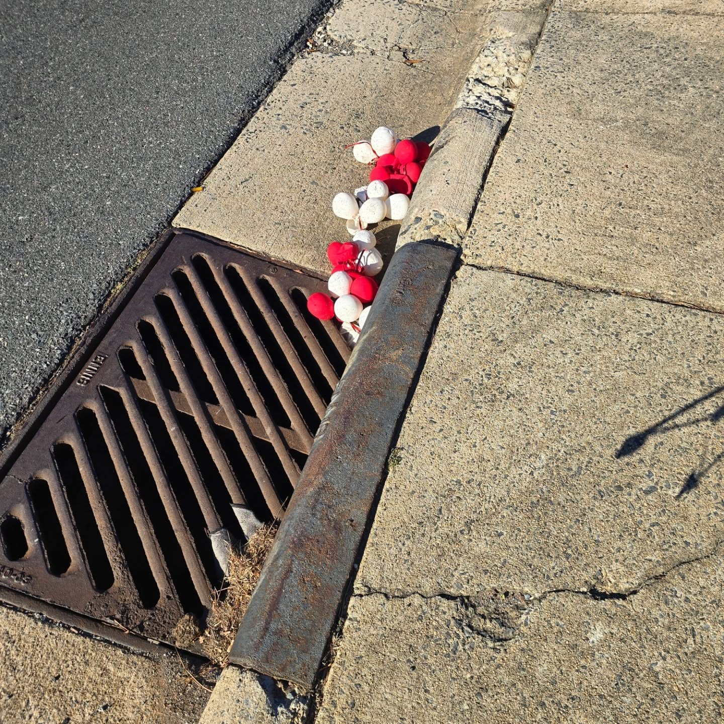 Me, on my way home from the doctor where I got bloodwork, a COVID vaccine, and a flu vaccine: i can't wait to lay down and read for a little.
Also me, seeing this Pennywise bundle from Hell about to go down a storm drain: Be strong, bitch.
3 pounds total snagged into my bucket.