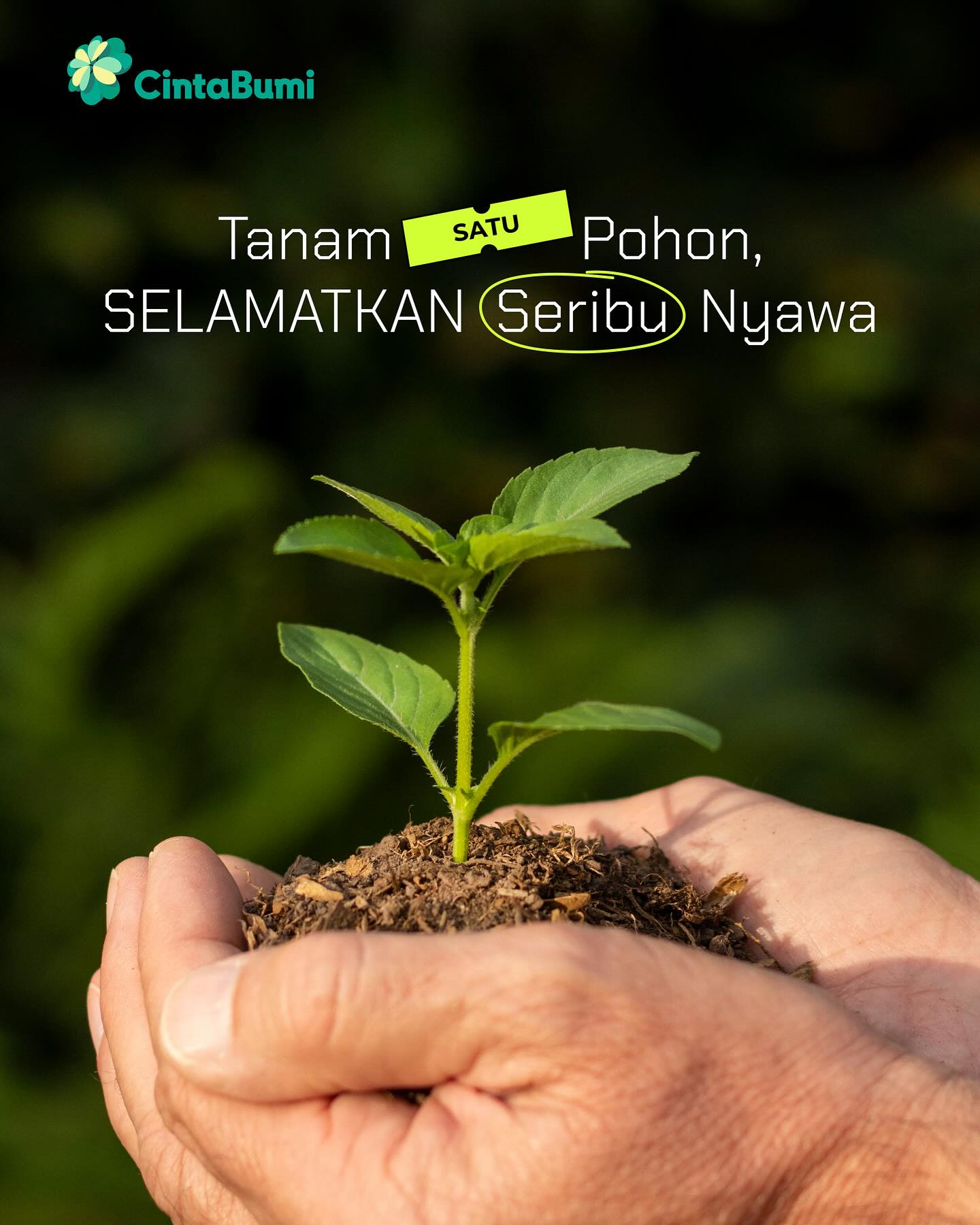 Pohon adalah hadiah sederhana tapi berharga untuk Bumi๐
Setiap pohon yang kita tanam = udara lebih bersih, Bumi lebih sehat๐
#cintabumi #cintabumiproject #emisikarbon #littlethingsmatter #zerowaste #bumihijau #sustainablelifestyle #sustainableliving #environment #ramahlingkungan