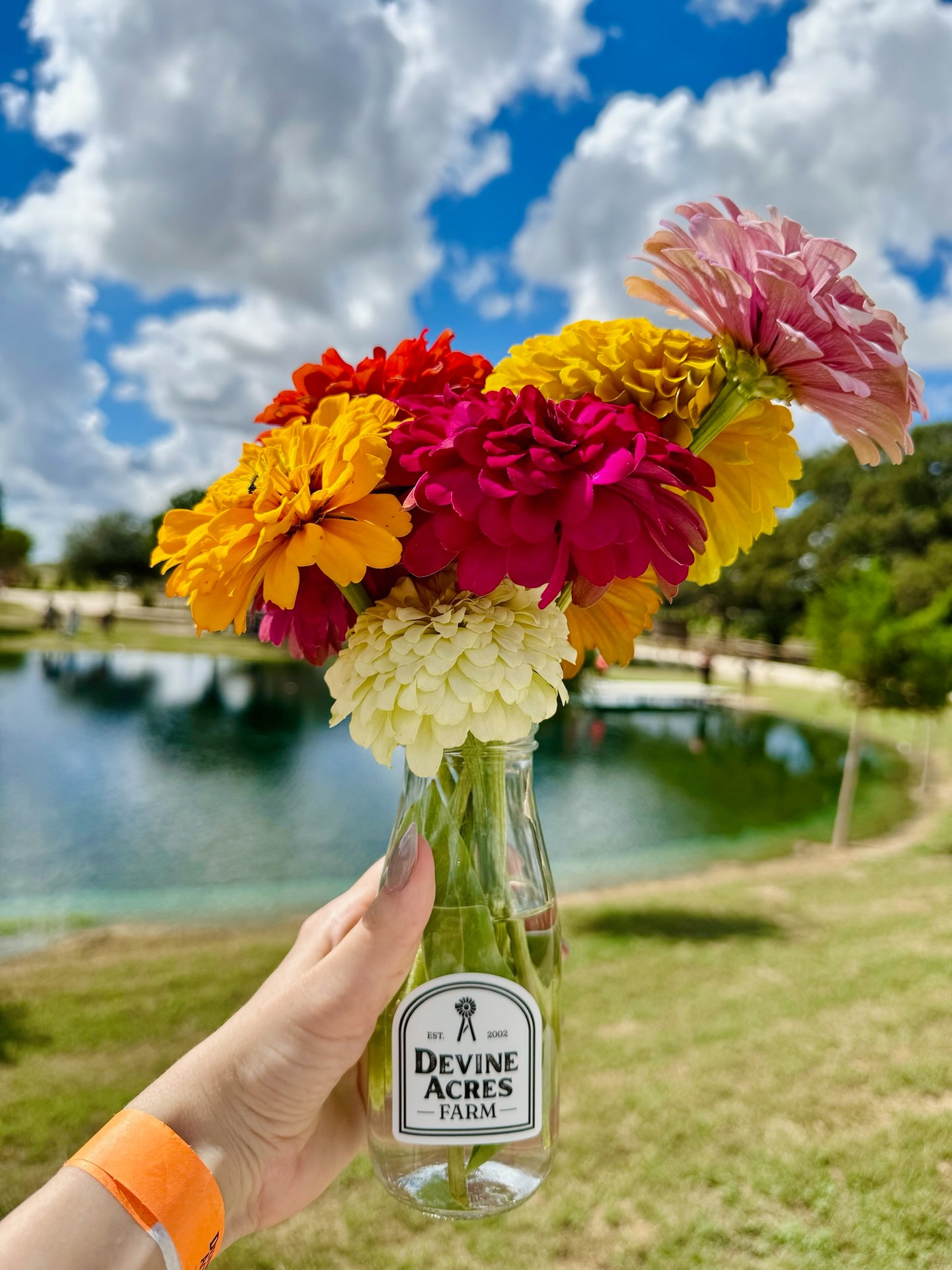 Update for Saturday, 10/25! The grounds are in great shape after last night’s storm! The good news is the storm brought beautiful temps for us to enjoy today!
We are SOLD OUT for today and very little tickets remain for Sunday. Our back up parking lot is too wet to accommodate overflow parking and we can only accommodate those who have pre-purchased their tickets for today or during our Flash Sale. Tickets will NOT be available at the gate today.
**Barnyard & Barrel Train will have a delayed opening to let the areas dry out.
Saturday 10am-8pm & Sunday 10am-6pm