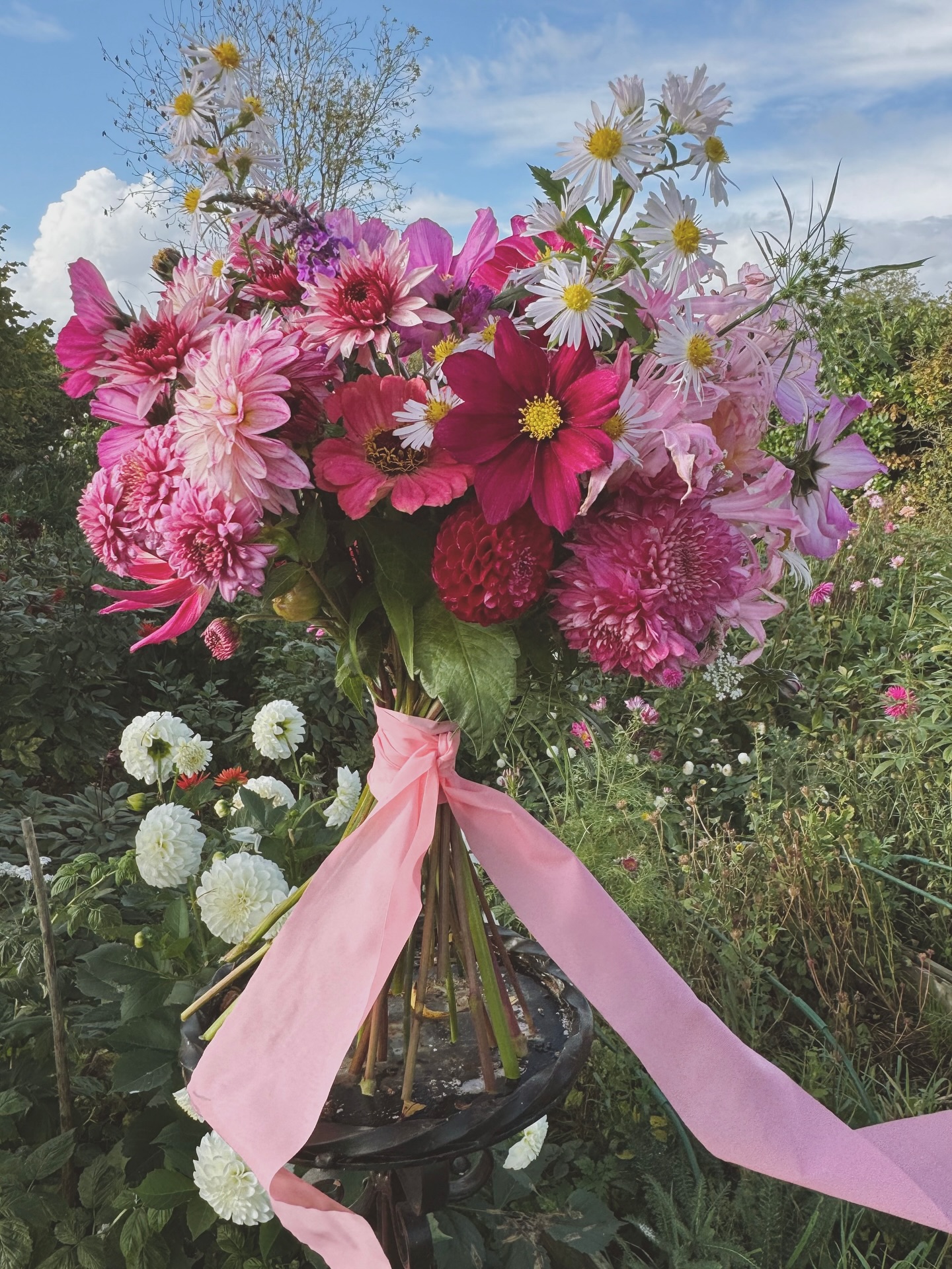 60th birthday bouquet for a wonderful lady who adores pink as much as me
October nerines umbrella a colour splash of carmine & pale pink cosmos, a variety of dahlias & aster
Wide ribbon to celebrate her wedding anniversary
#birthdaybouquet #seasonalflowers #localflowers #celebration #florist #norfolkflowers #cottagegarden #florist #southnorfolk #sustainablefloristry #pink #love #octoberflowers #bouquet #norfolk