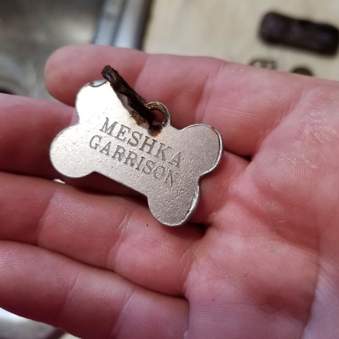 Dug a couple different places today 😊 the dog tag and tootsie are my favorites #metaldetecting #treasure #history #garrettmetaldetectors
