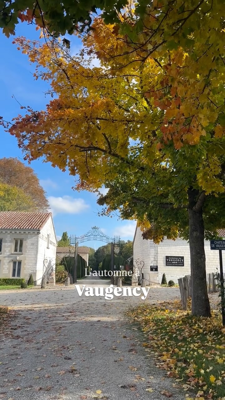 C’était samedi.
J’étais juste partie rejoindre Quentin à la tente stretch.
Et comme souvent, j’ai fini par filmer les rayons du soleil qui jouaient à cache-cache avec les arbres.
C’est plus fort que moi : cette lumière, c’est un aimant.
Elle change tout.
Alors cette semaine, j’ai envie de garder un peu de cette clarté-là.
Et toi, t’as remarqué comme la lumière du matin change ton humeur ? ☀️
.
.
.
.
.
#domainedevaugency #vaugency #laviedevaugency #slowmoment #lueurdumatin #vivrelenaturel #momentsuspendus #instapoetique #entrepierresetbois #viededomaine #authentiquetoujours #vivresimplement #viedevrai #storytellingvisuel #frenchcountryside #slowwedding #lightandstory
