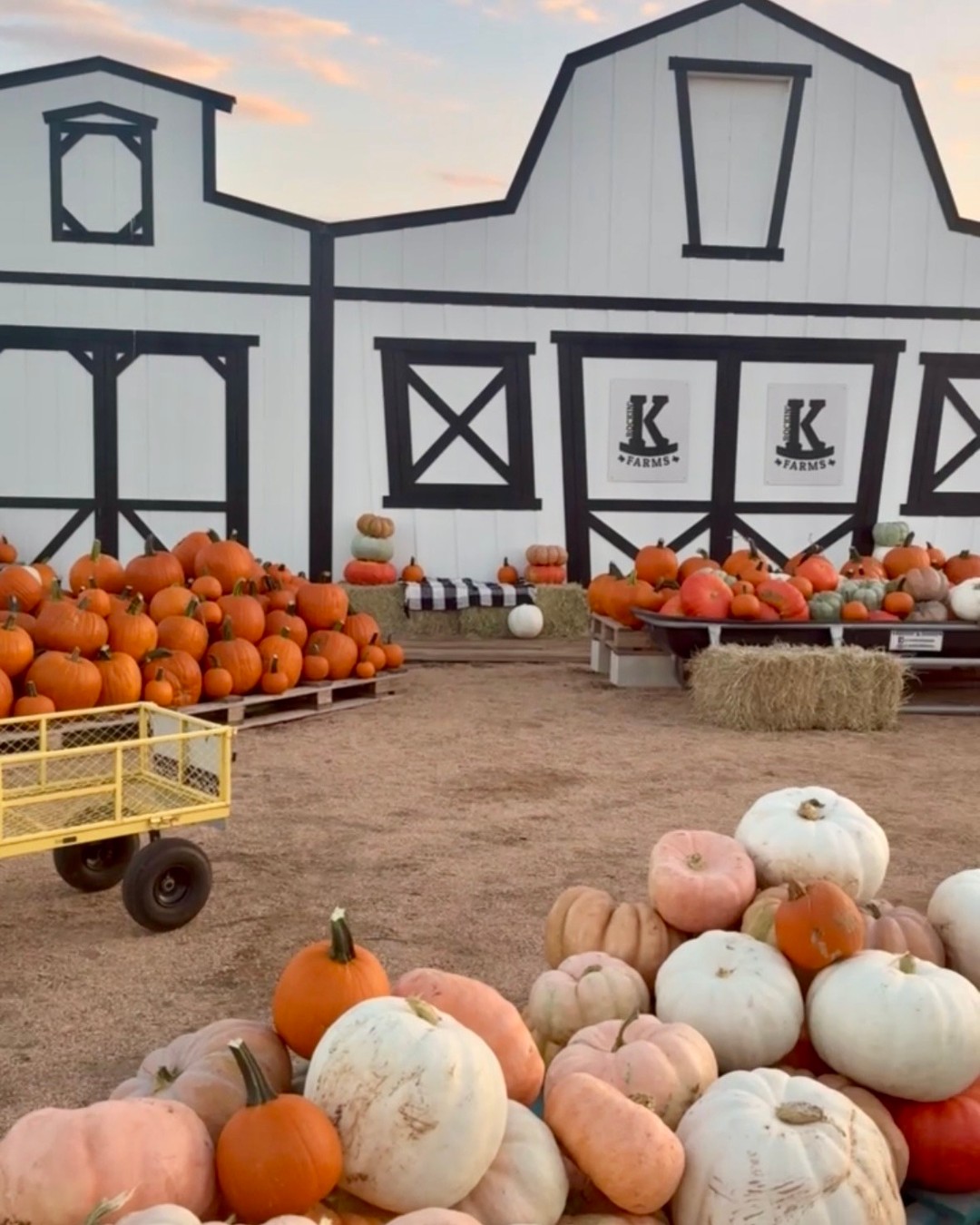 Grab your crew and come on out to Rockin’ K Farms THIS WEEKEND!
We’ve got trick-or-treating, a costume contest, and all the pumpkins and treats you could want! 🎃🍭
🎟️ Grab tickets now! (Link in bio)