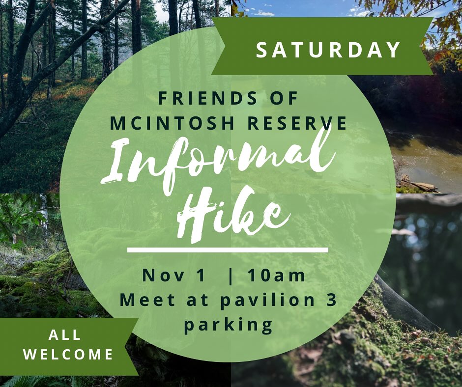 Come on out for a walk in the woods!