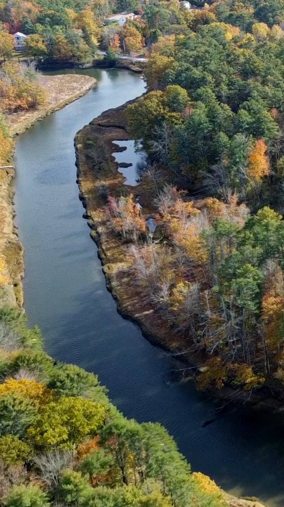 A bird’s eye view of fall at Welch Woods! 🐦⬛🍂🍁
#arundelconservationtrust #arundelmaine #kennebunkportmaine #kennebunk