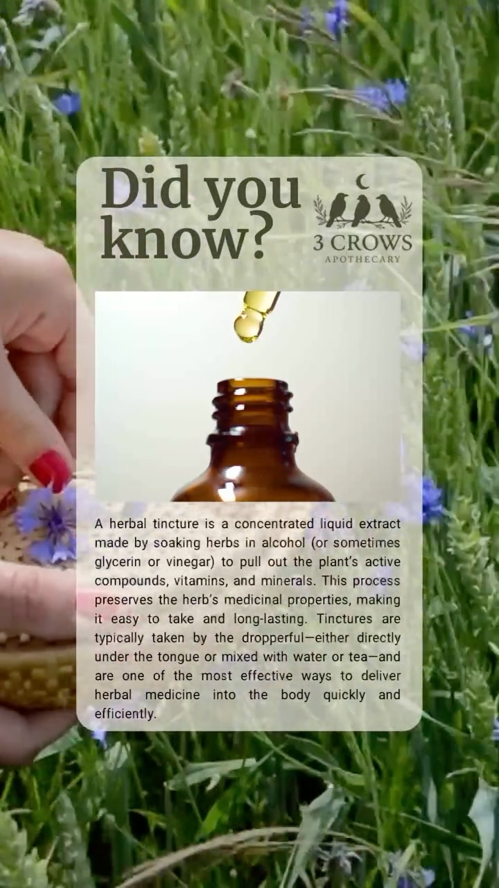 A herbal tincture is a simple way to use the healing power of plants. It’s made by soaking herbs in alcohol such as vodka 80-100proof (or sometimes vinegar or glycerin) for a few weeks. The liquid pulls out the plant’s helpful parts—like its vitamins, minerals, and natural medicine.
After soaking, the herbs are strained out, and what’s left is the tincture—a strong, easy-to-use liquid. You only need a few drops at a time, usually taken under the tongue or in a drink. It’s a great way to get the benefits of herbs without having to brew tea every day.
#herbaltips #plantbasedhealing #natureknowsbest #herbalmedicine #apothecarylifestyle #greenremedies #naturespharmacy #herbalismcommunity #healingfromnature
