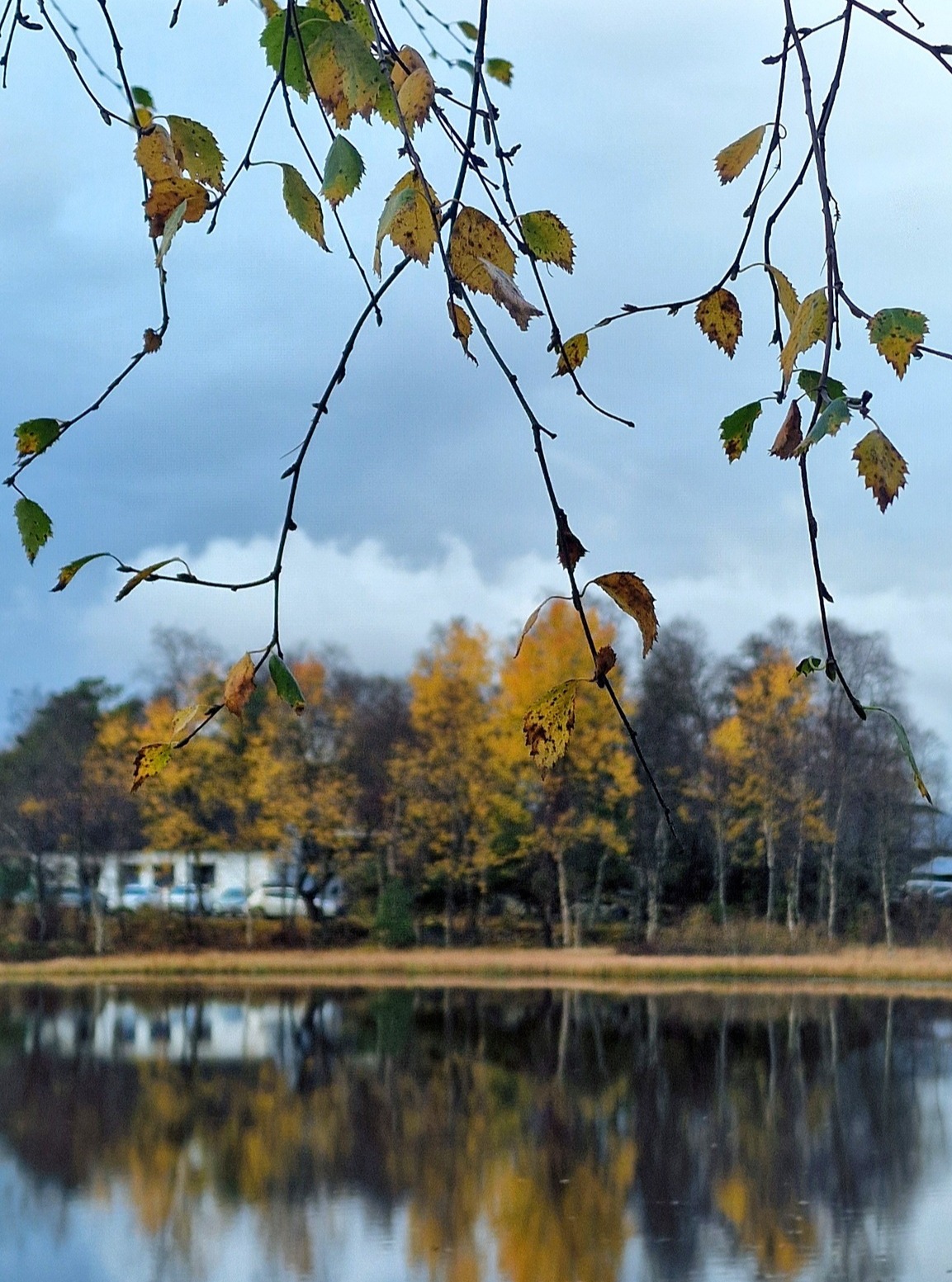 📷 Szilvia Toser @morla.no