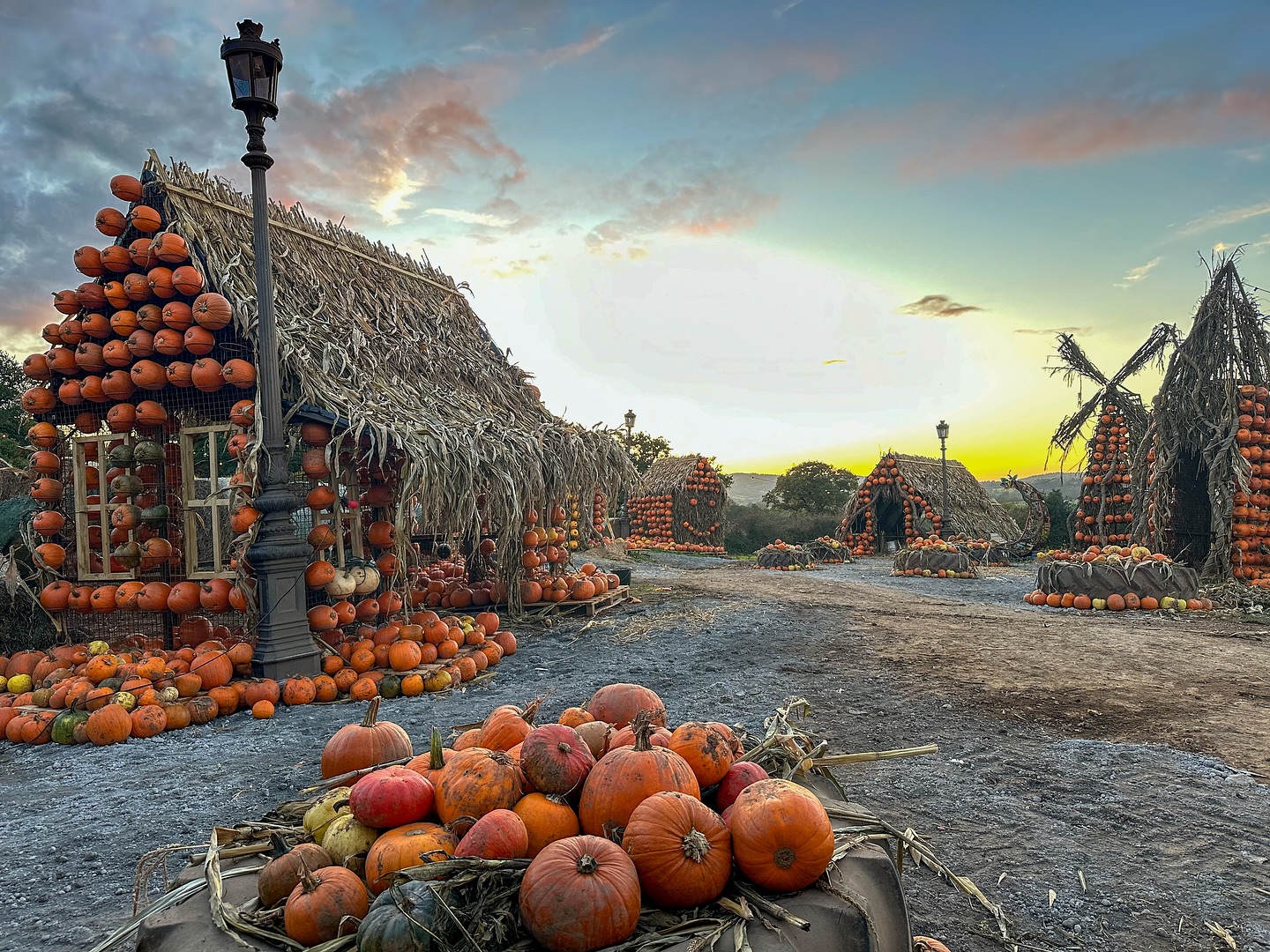 We have released more tickets for our twilight picking this weekend! ๐๐๐