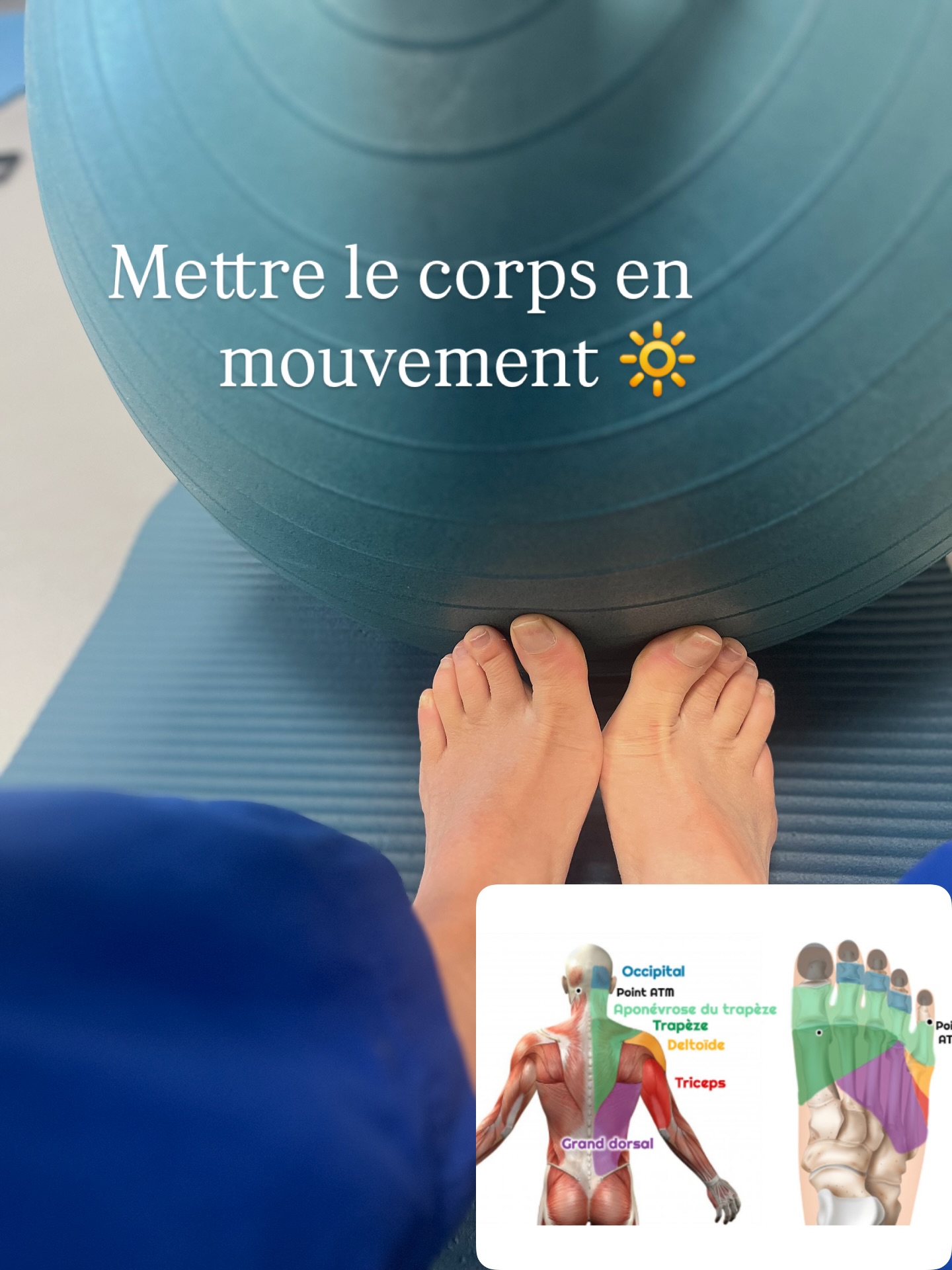 Le saviez-vous ?
En réflexologie plantaire, le pied est considéré comme le miroir du corps.
Ainsi, la réflexologue peut ressentir les douleurs squelettiques, les troubles intestinaux ou encore les tensions musculaires de la personne en demande. Les « trajets » et les points d’acupression que la praticienne effectue alors sur les pieds de la personne accompagnée peuvent permettre de détendre toutes ces zones de tensions.
En complément, et pour prolonger les bénéfices d’une séance, il est aussi important de mettre en mouvement le corps, avec douceur et bienveillance. Pour se sentir à l’équilibre, pour s’étirer et même retrouver de la mobilité.
Pour ma part, je pratique régulièrement des activités physiques et depuis trois années le Yoga. Voilà une discipline que j’ai abordé au début à reculons ... comme une injonction, avec toute la raideur de mon corps. Et pourtant ...quel bonheur aujourd’hui !
J’aime sentir mes muscles dont je ne connaissais que les noms avant sans les ressentir. C’est une véritable satisfaction. La progression est lente mais réelle. A chaque séance, je suis traversée par des émotions particulières, parfois la colère, la joie, ou l’apaisement. Des séances nécessaires pour se préserver, se recentrer, gagner en mobilité ... et pour ma part pour mieux vous accompagner !
Et vous ? Quelle activité physique pratiquez-vous ?
#rennes #yoga #reflexologie #detente #mobilité #bienêtrenaturel #douleursarticulaires #douleursmusculaires #douleursdos