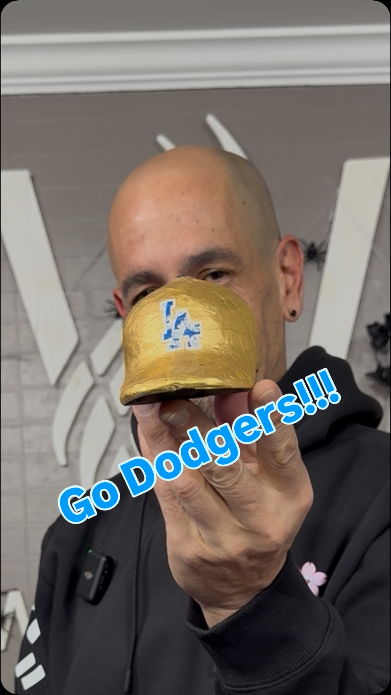 Go Dodgers ⚾️ !!!