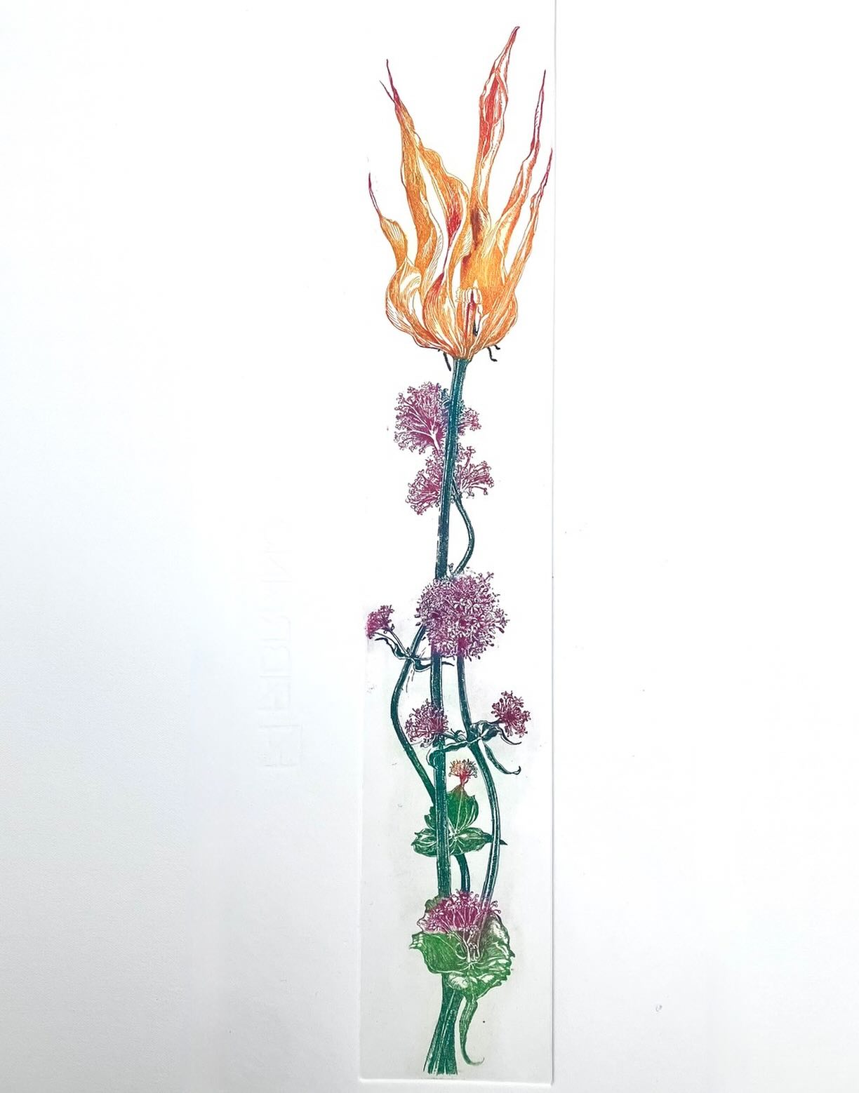 Bevroren gebedsleven. Kleurenets in Amen, het boek van Willem Jan Otten en mij. Wordt morgen gepresenteerd in Amersfoort op de lezersdag van uitgeverij Skandalon. #skandalonuitgeverij #insectprint #sealife #printmaking #etching #figuredrawing #classicdrawing #blackandwhitedrawing #engraving #largeetching #penandink #seascapedrawings #fromlifeonly