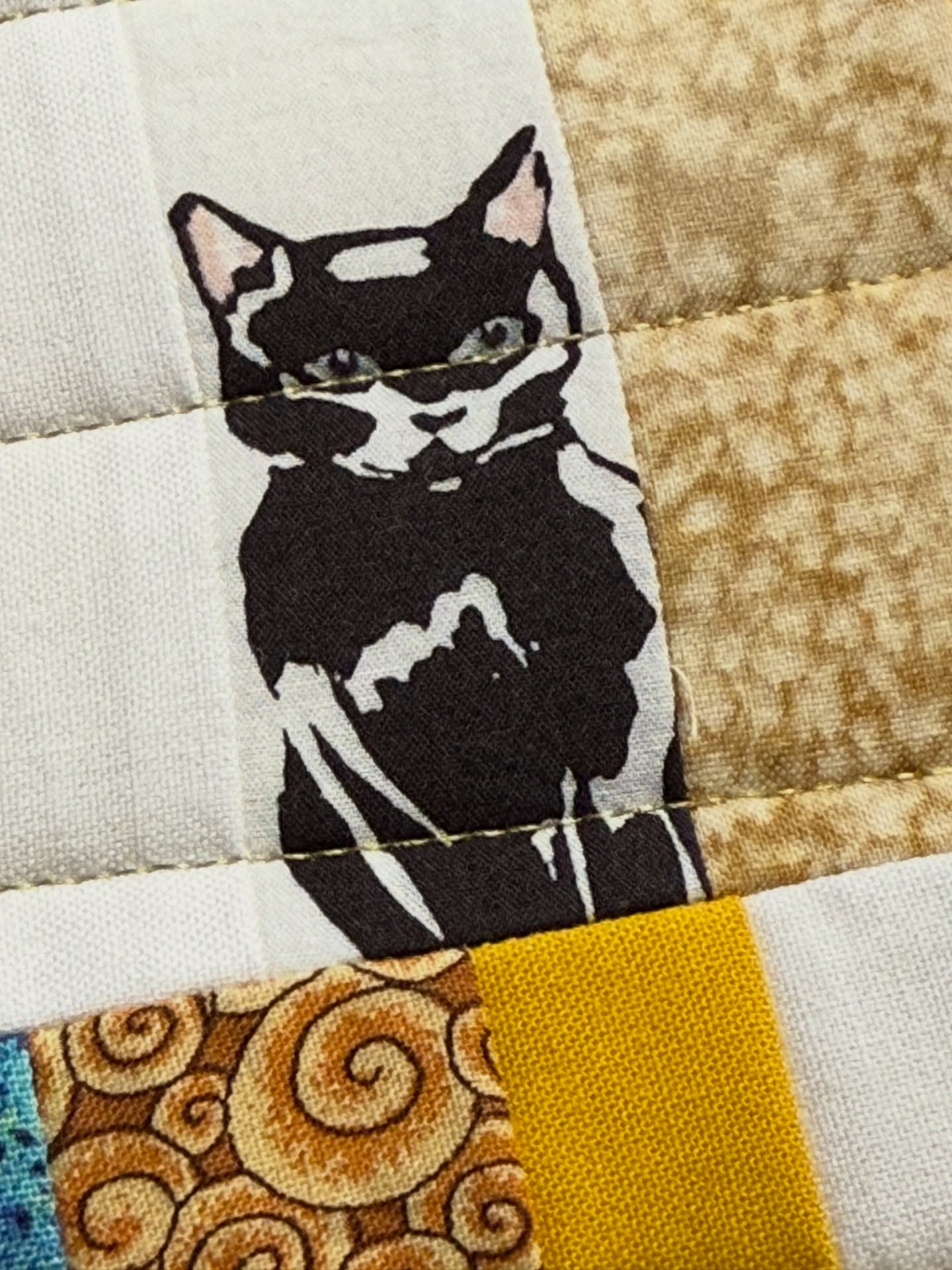 This little guy was staring at me from an amazing scrappy quilt I’m long arming for Maddie. ❤️. Just a couple more quilts to finish before my next big trip! 🧳✈️