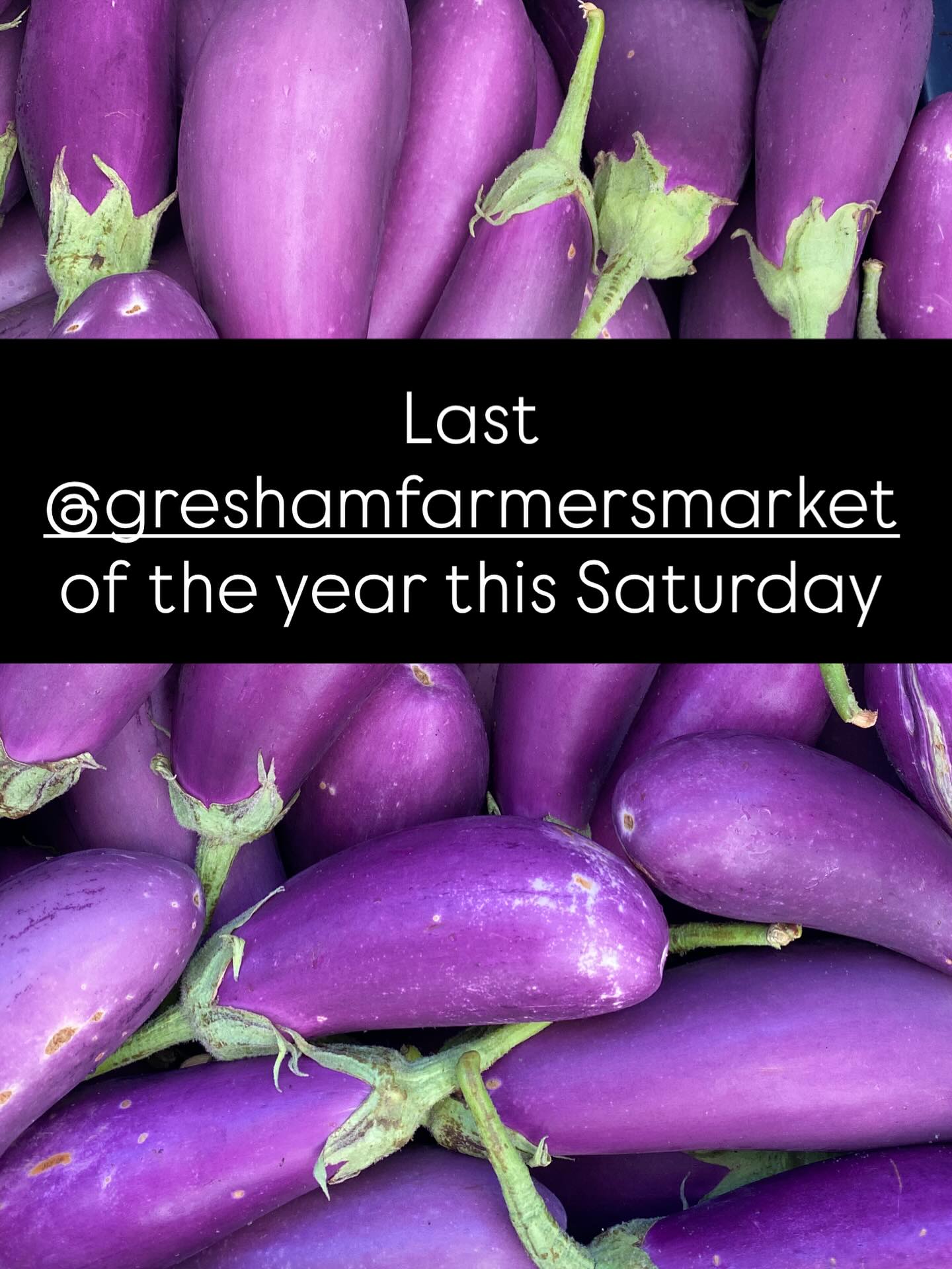 Last Saturday farmers market for us for the year. We hope to see you there!
We still have summer and fall veggies, so please come stock up. And as a special for the last day, our popular ferments are on sale! BUY 2 or more, $10 each (instead of $12 each)
#sliceofheavenfarm