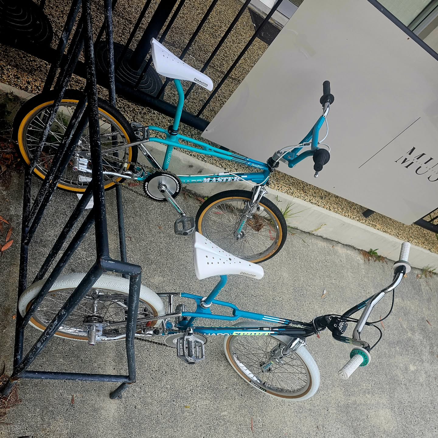 Took the girls out for coffee this morning. Haros are extra crispy