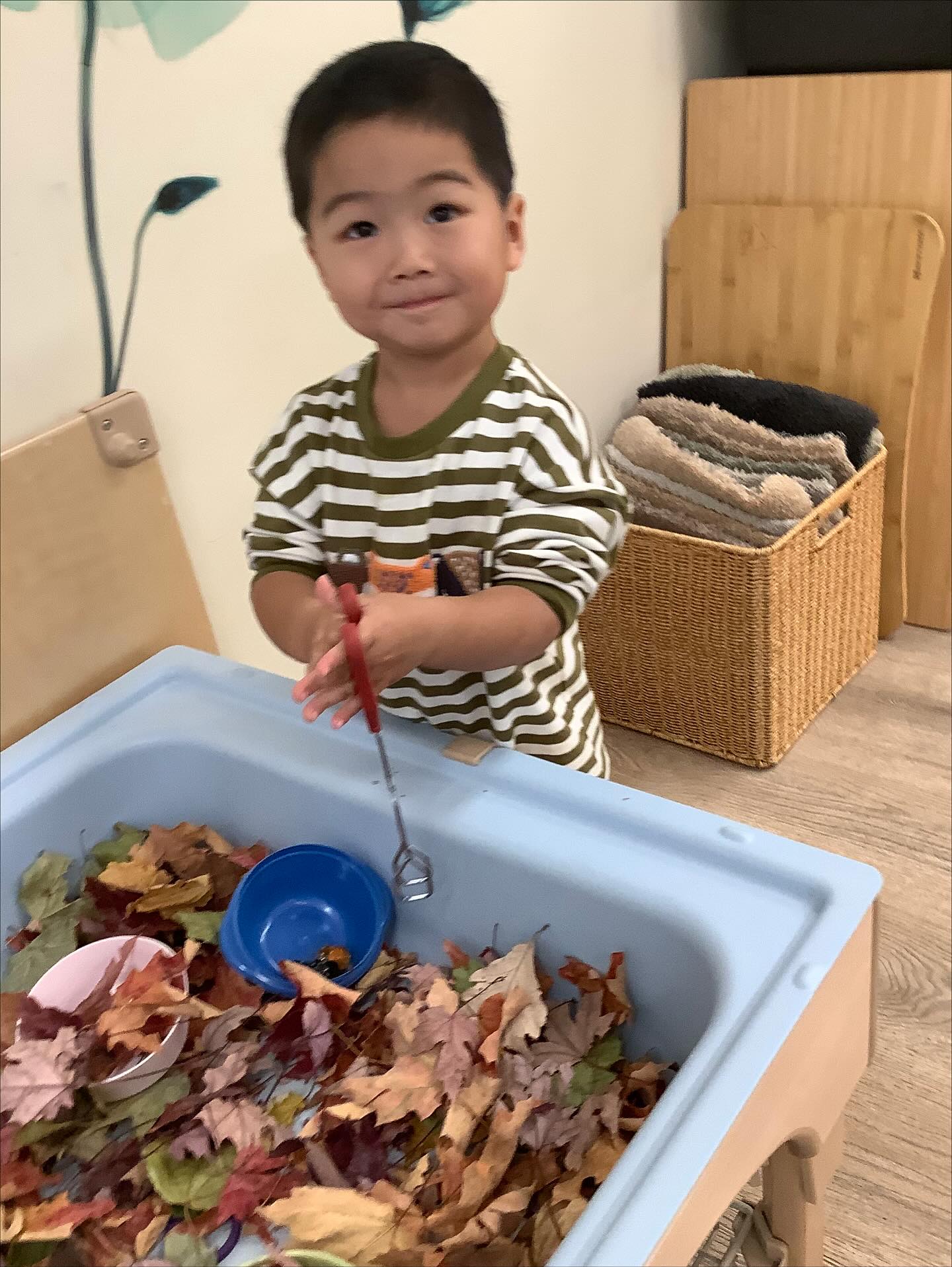 🖐🏻Tiny hands, crunchy leaves, big discoveries! 🍂 Sunrise fall fun in action. 🌟
#sunrisemontessorinatick #toddler #fall #leaves #seasonschange #montessoriway